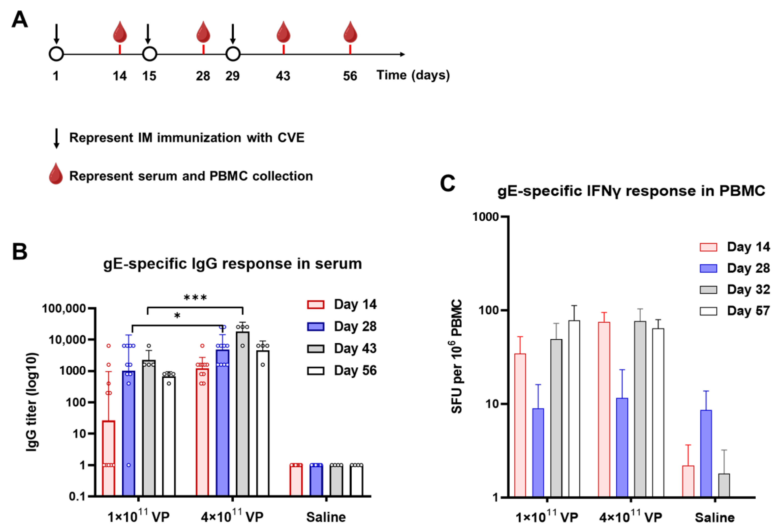 Vaccines 13 01226 g005