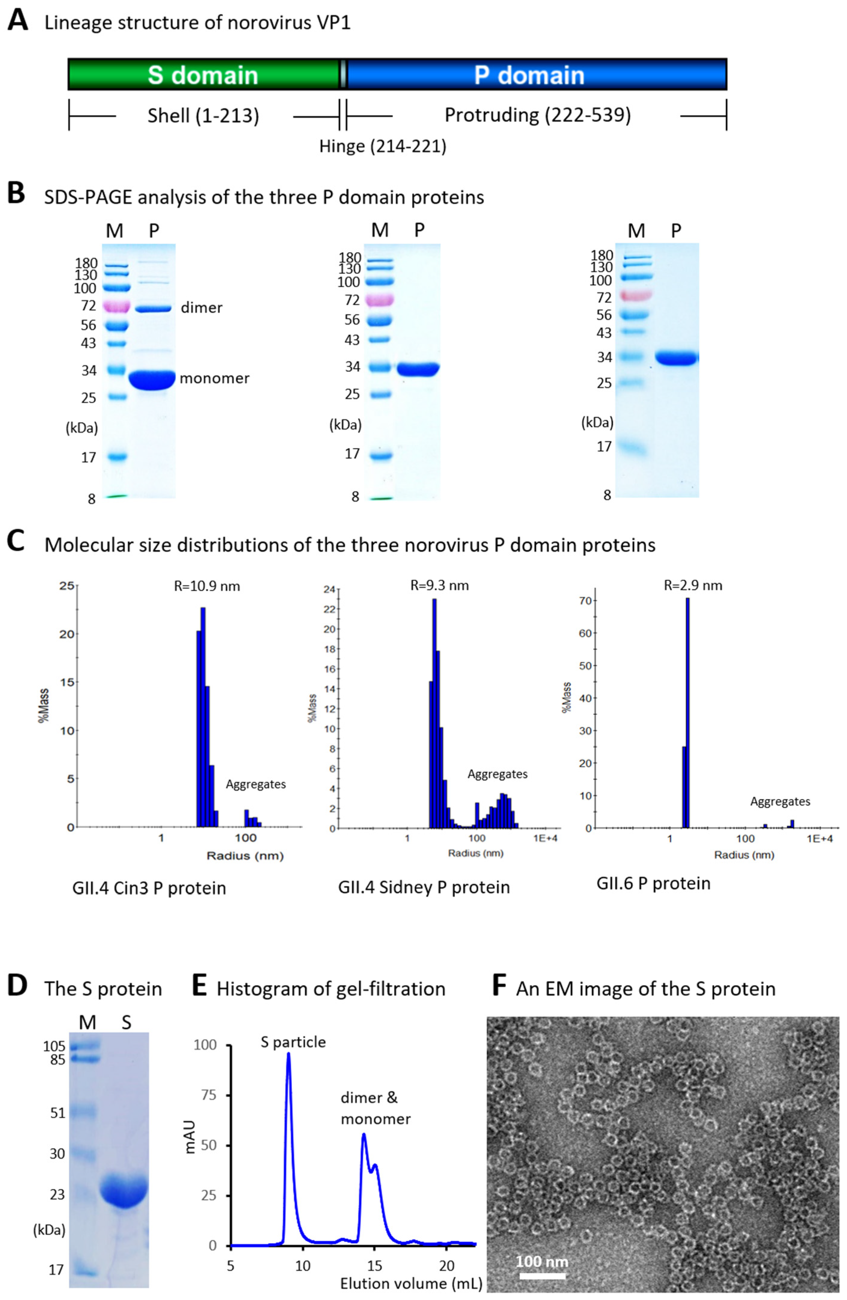 Vaccines 13 01228 g001