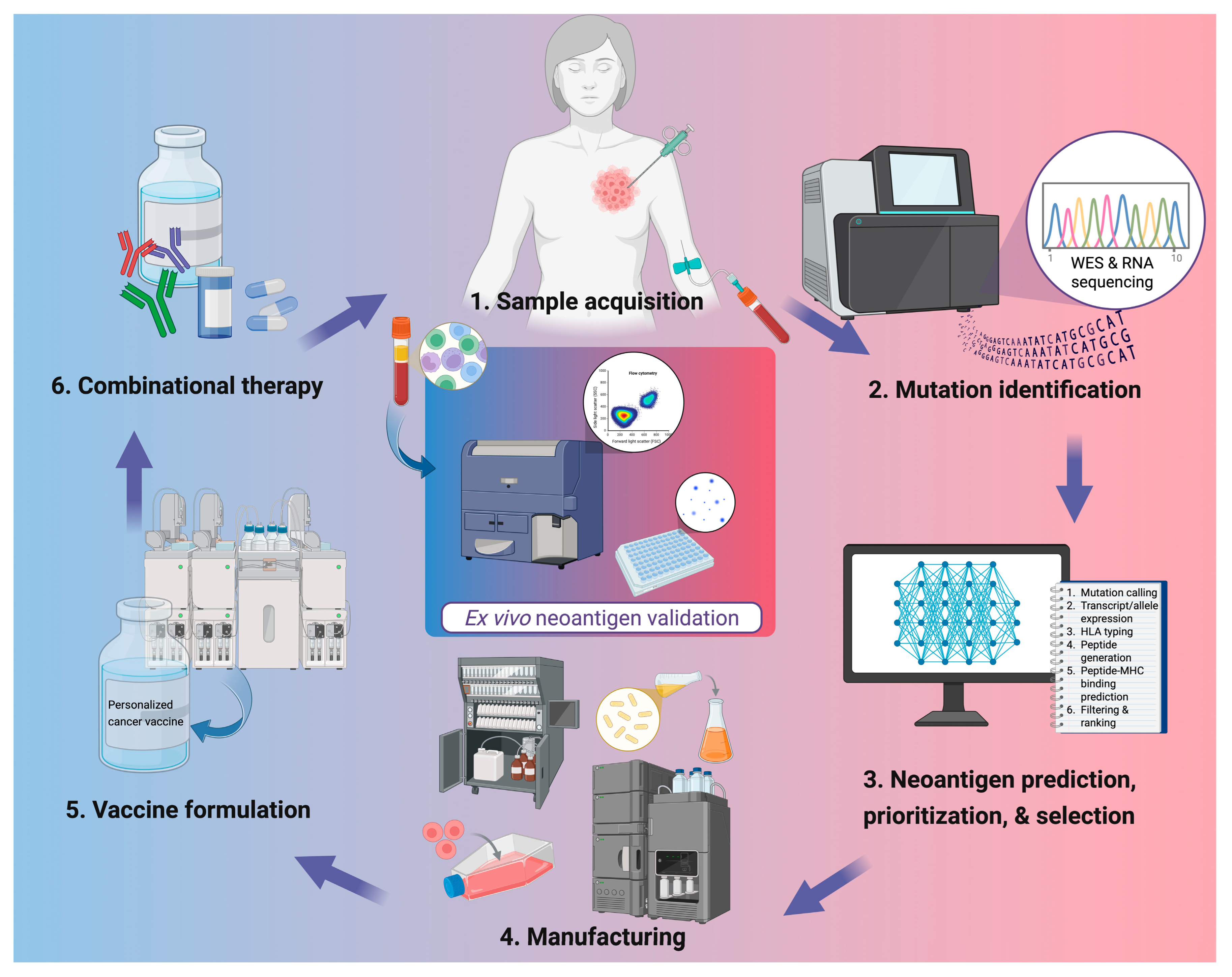 Vaccines 13 01231 g001