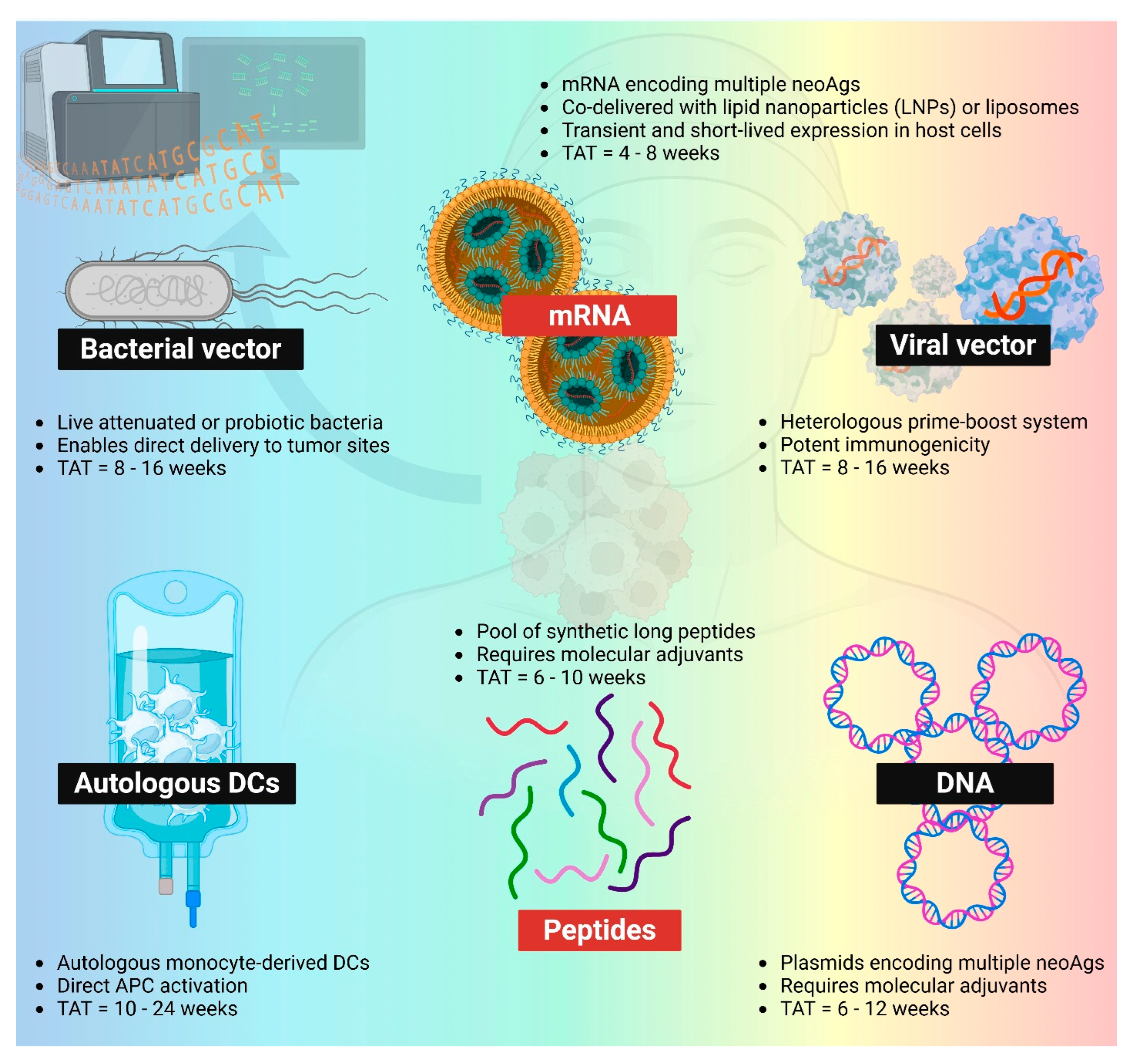 Vaccines 13 01231 g002