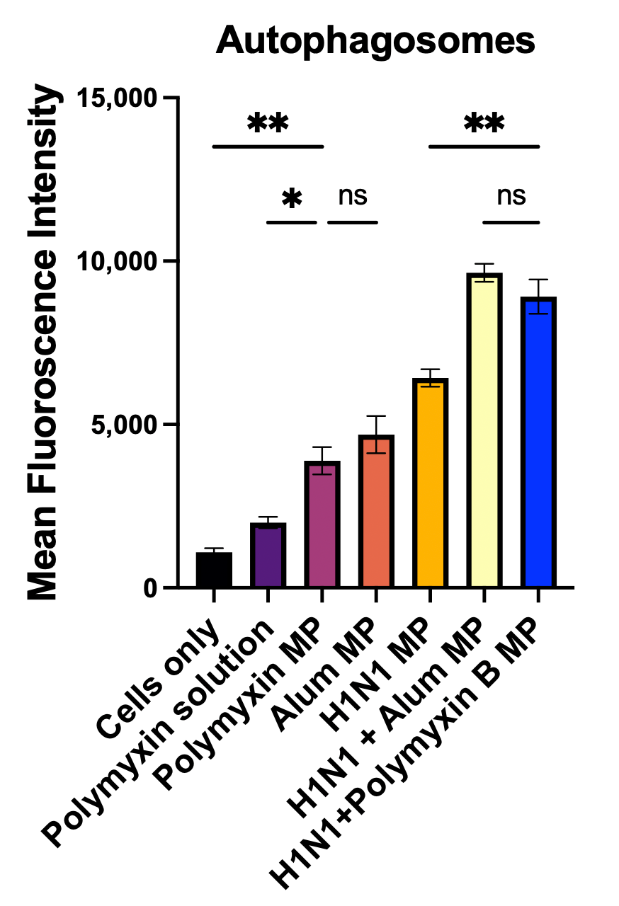 Vaccines 13 01232 g006 Vaccines 13 01232 g006
