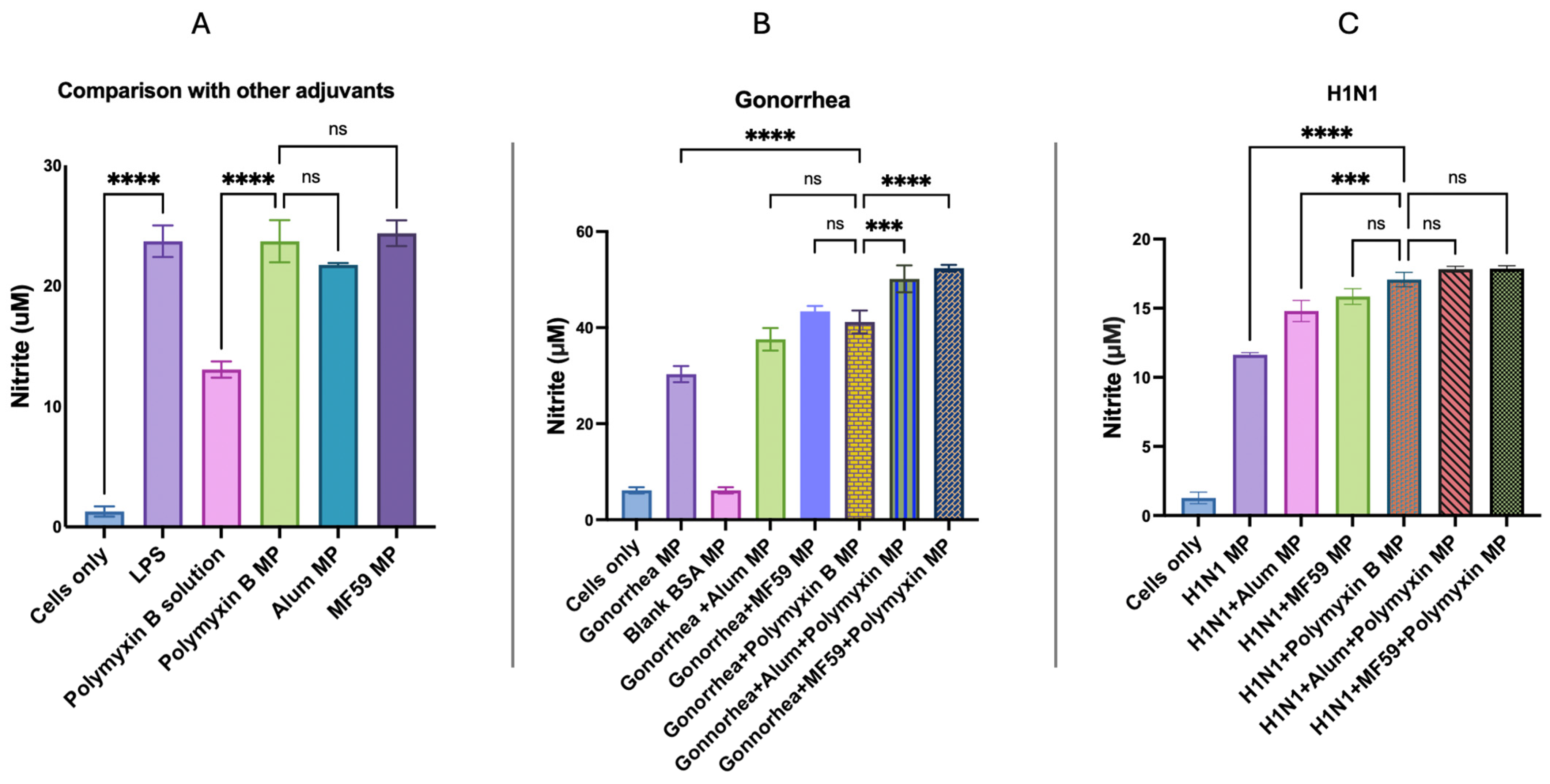 Vaccines 13 01232 g007 Vaccines 13 01232 g007