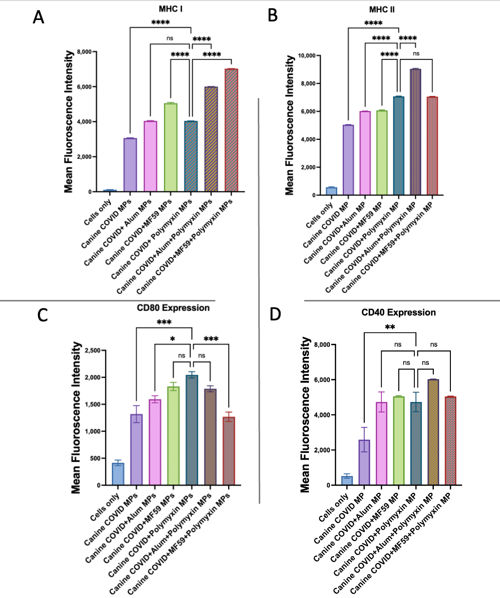 Vaccines 13 01232 g015 Vaccines 13 01232 g015