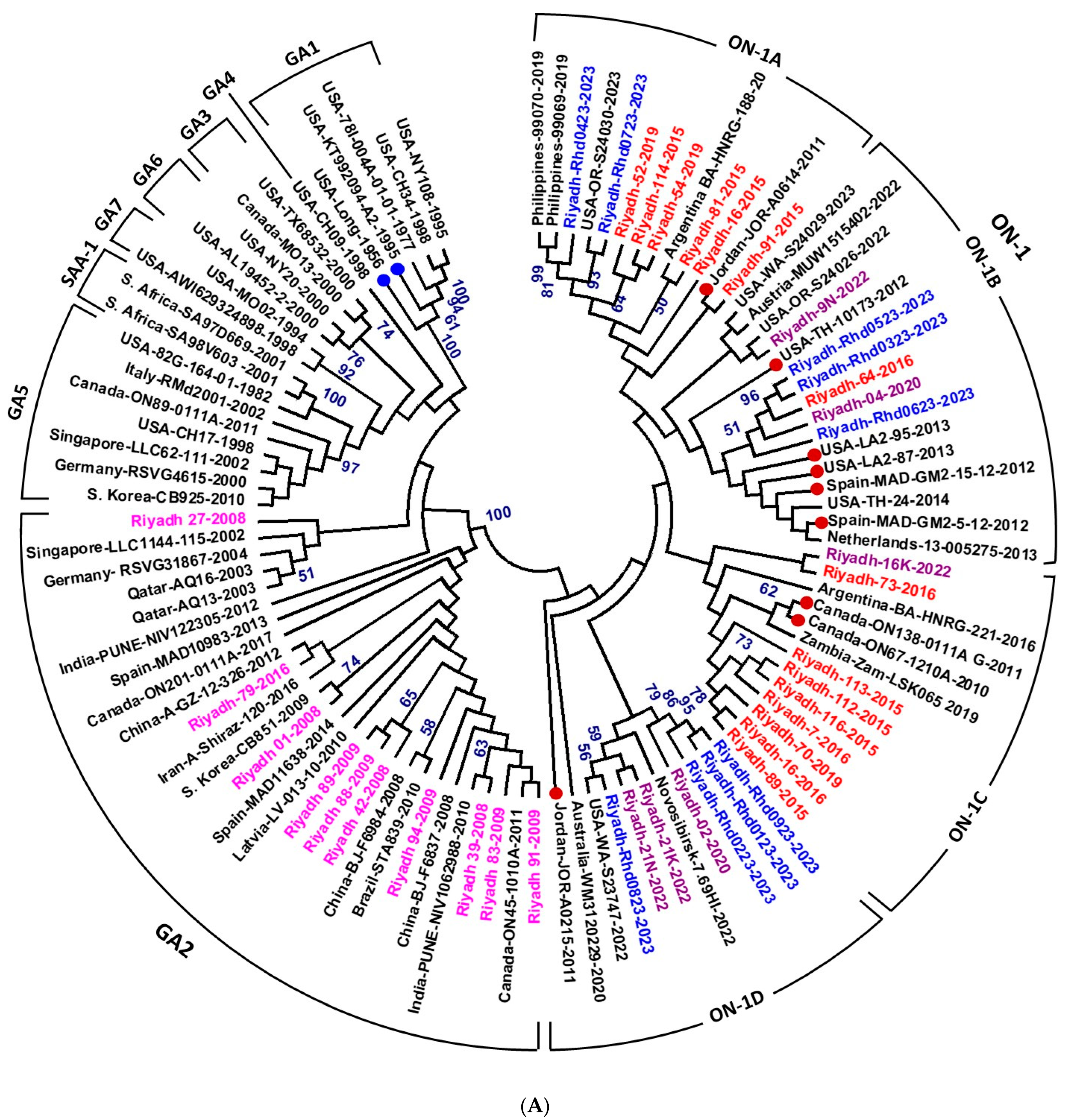 Vaccines 13 01245 g003a Vaccines 13 01245 g003a