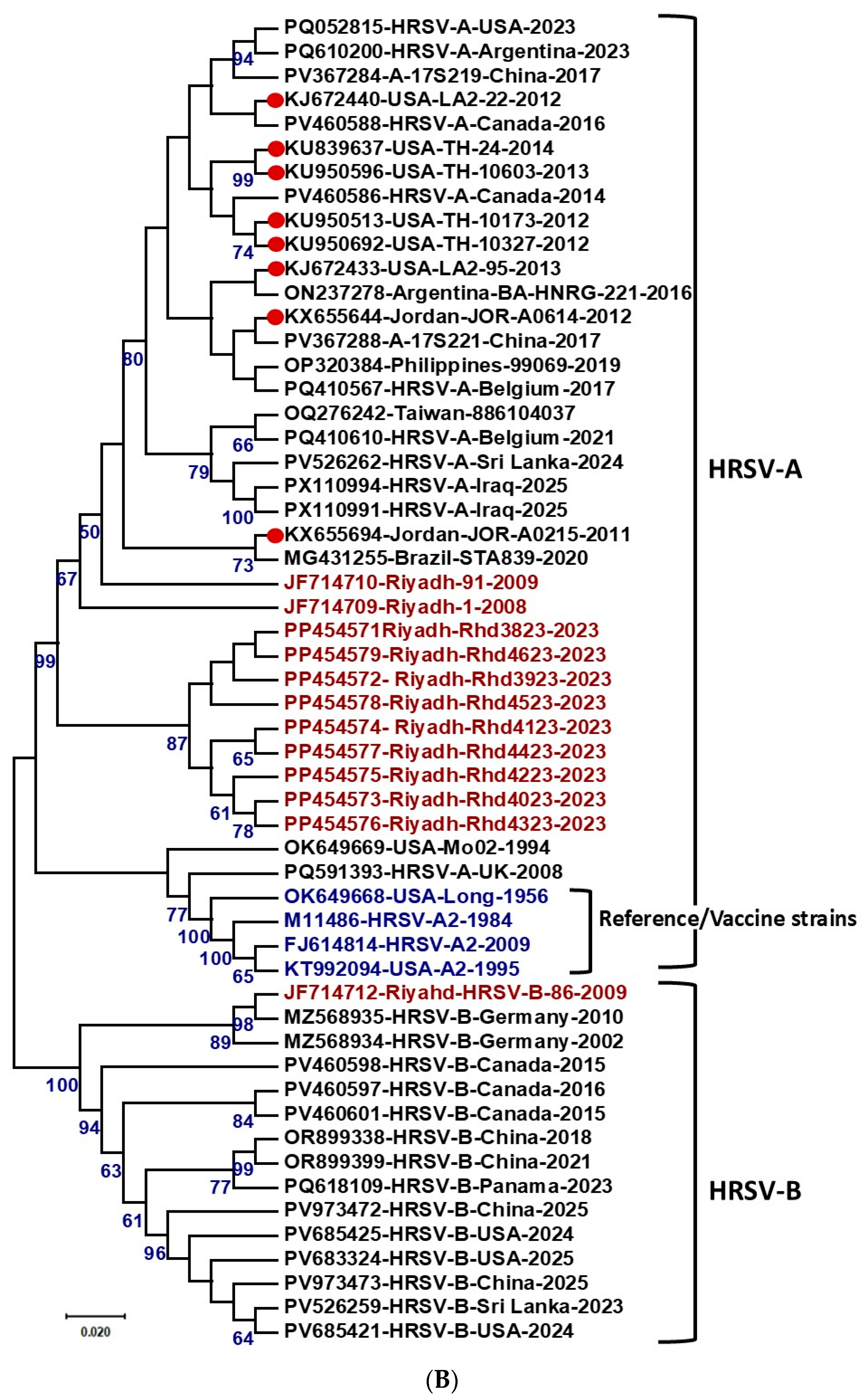 Vaccines 13 01245 g003b Vaccines 13 01245 g003b