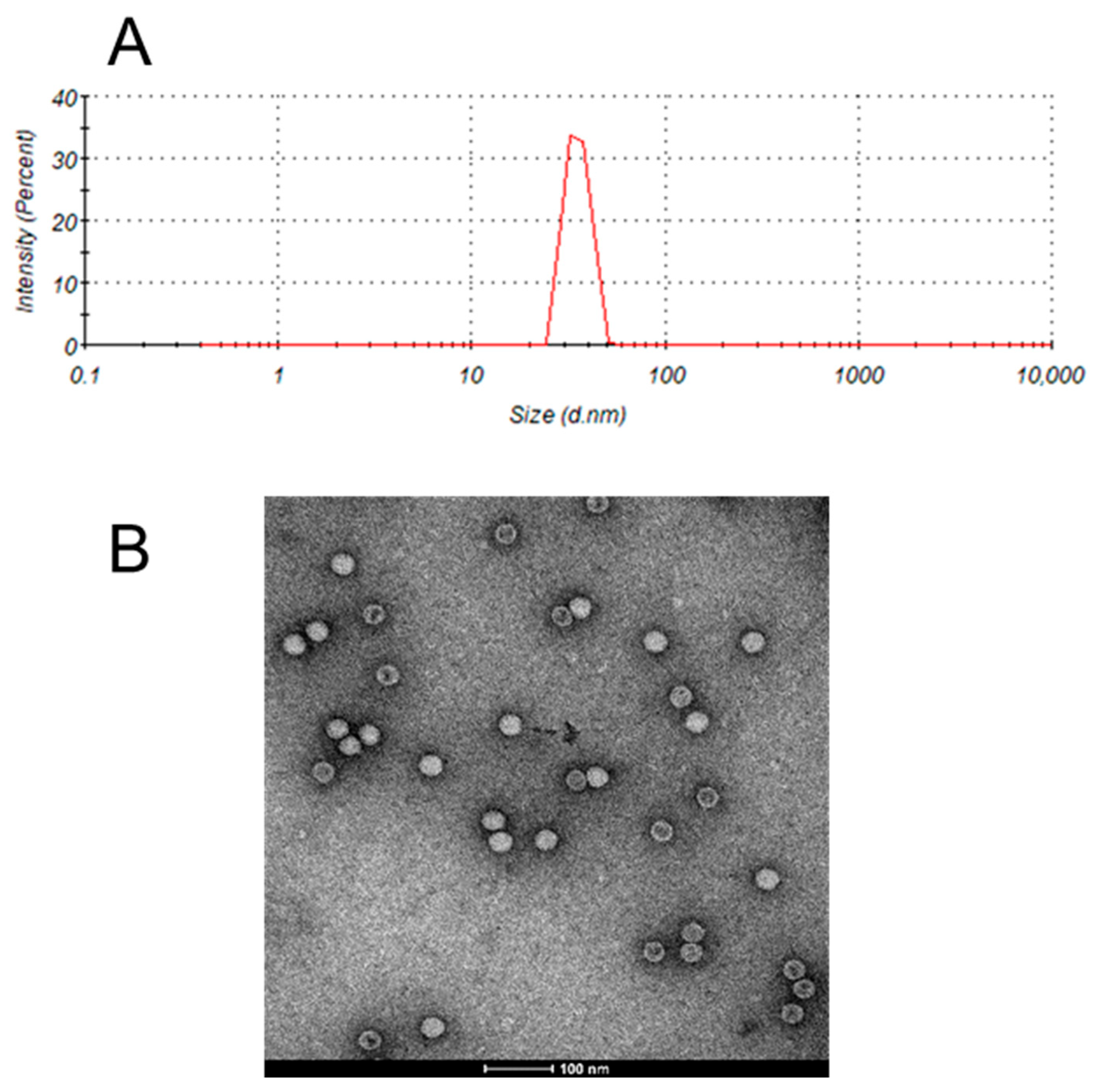 Vaccines 13 01247 g001