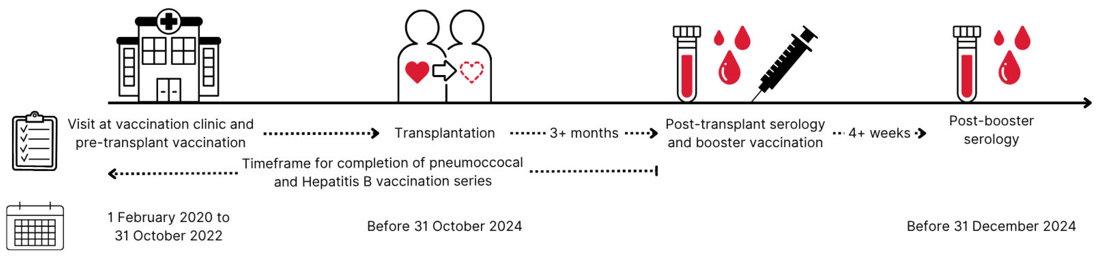 Vaccines 13 01253 g001