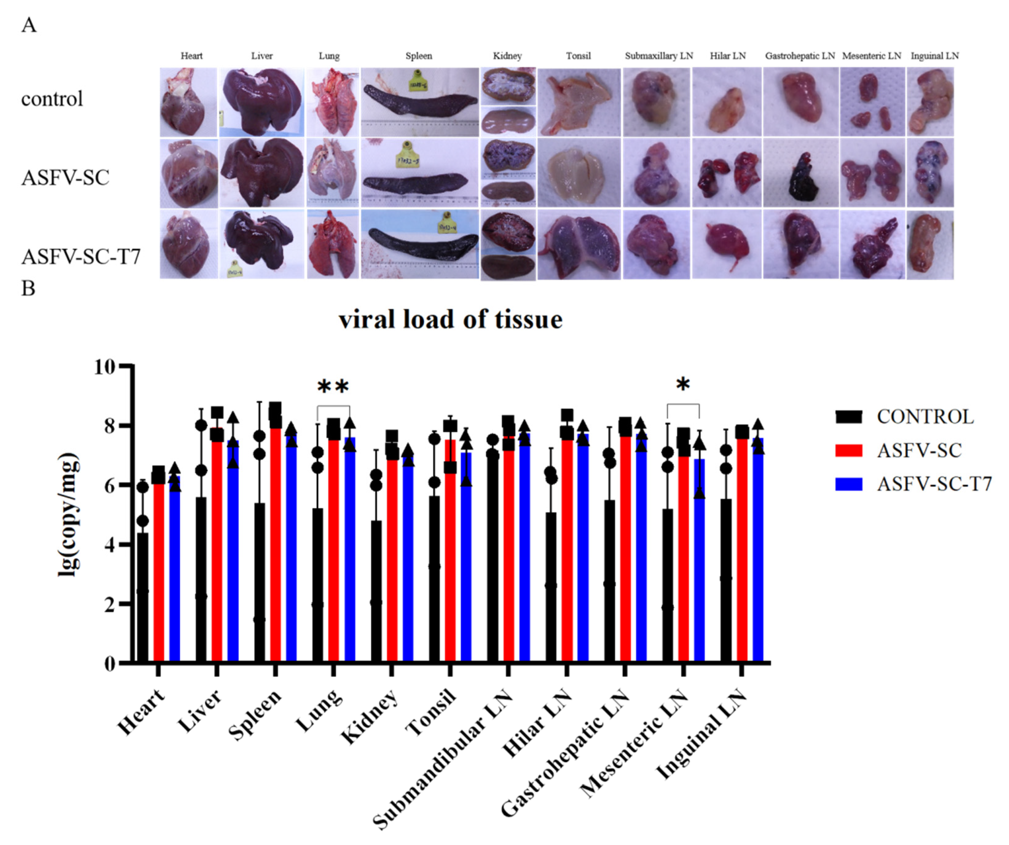Vaccines 14 00004 g005 Vaccines 14 00004 g005