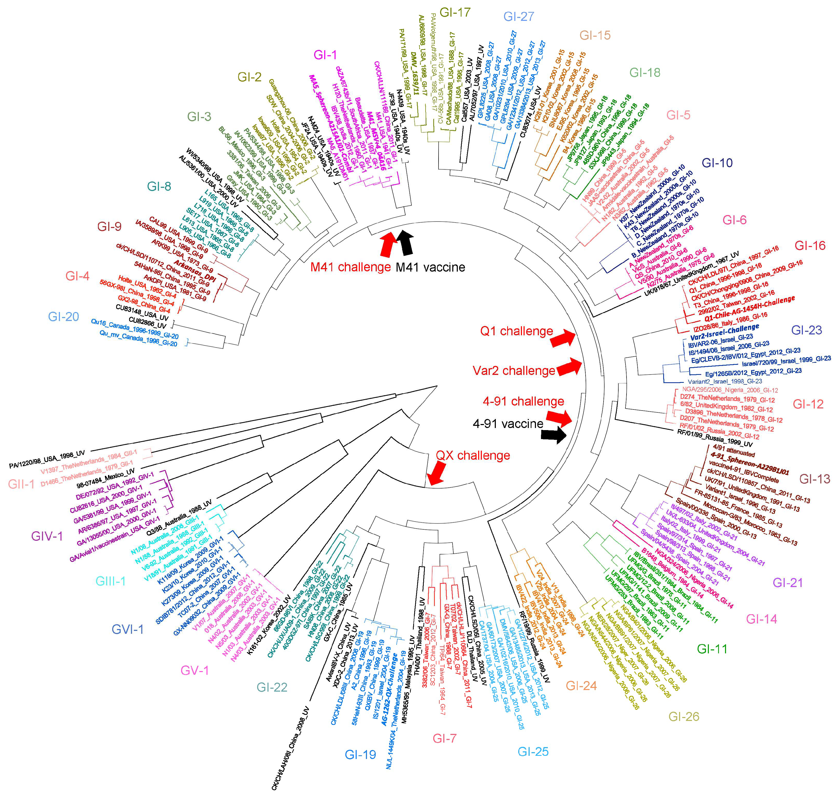 Vaccines 14 00039 g001