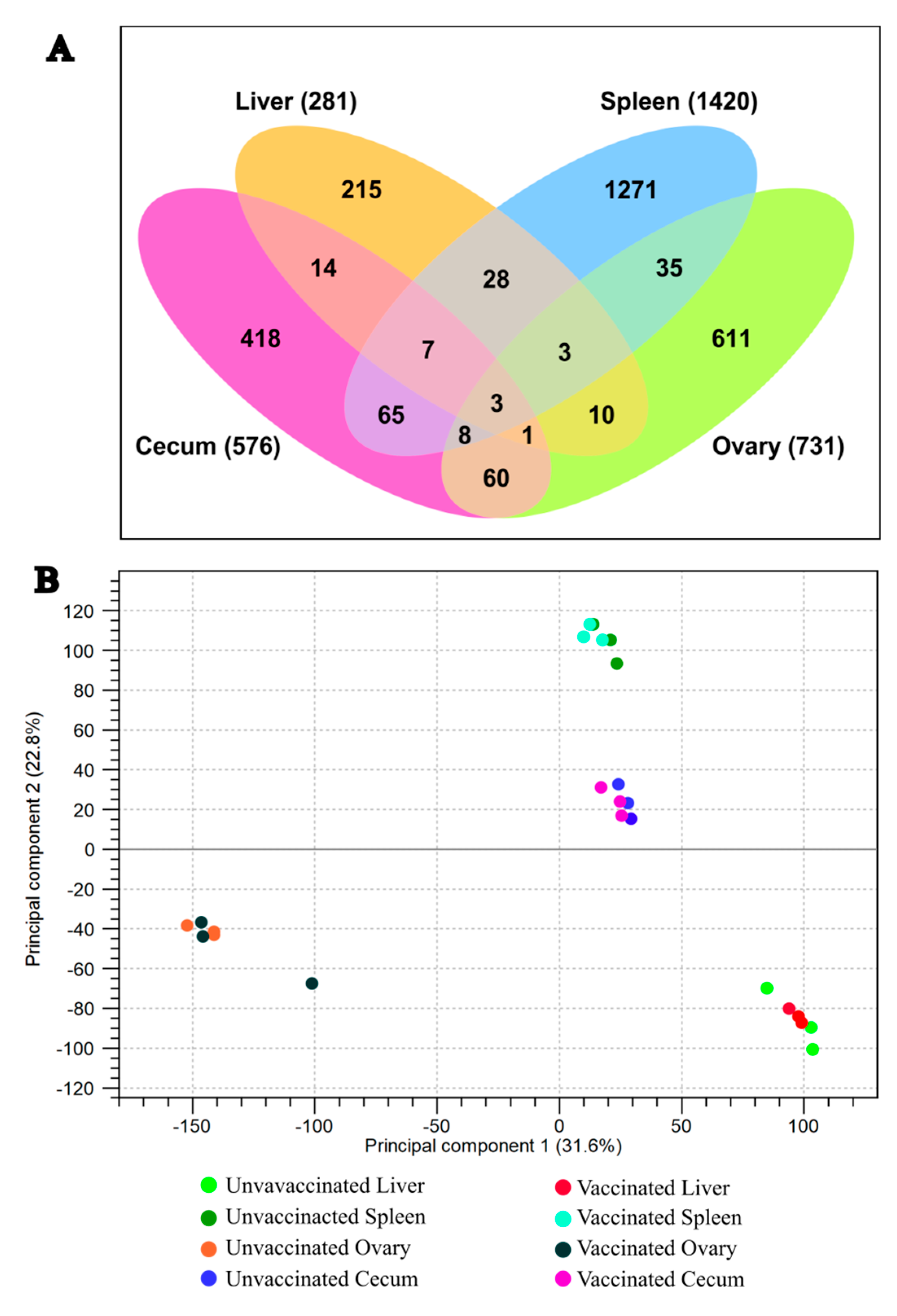 Vaccines 14 00068 g005