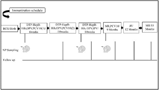 Vaccines 14 00073 g0a1