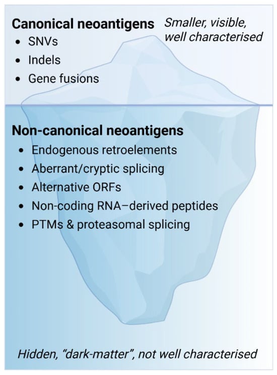 The tumour neoantigen landscape illustrated as an “iceberg model”. Canonical neoantigens arising from SNVs, indels, and gene fusions represent the visible “tip of the iceberg” and are generally well characterised. Beneath the surface lies a much larger pool of non-canonical neoantigens generated through dysregulation across the genome, transcriptome, and proteome. These include peptides derived from endogenous retroelements, aberrant splicing, non-coding RNAs, alternative open reading frames, and post-translational or proteasomal splicing events, collectively forming a substantial “dark matter” antigenic space that remains poorly characterised. Created in BioRender. Rwandamuriye, F.X. (2025) https://app.biorender.com/illustrations/692a6a776fe8c057bd7431a1 (accessed on 15 January 2026).