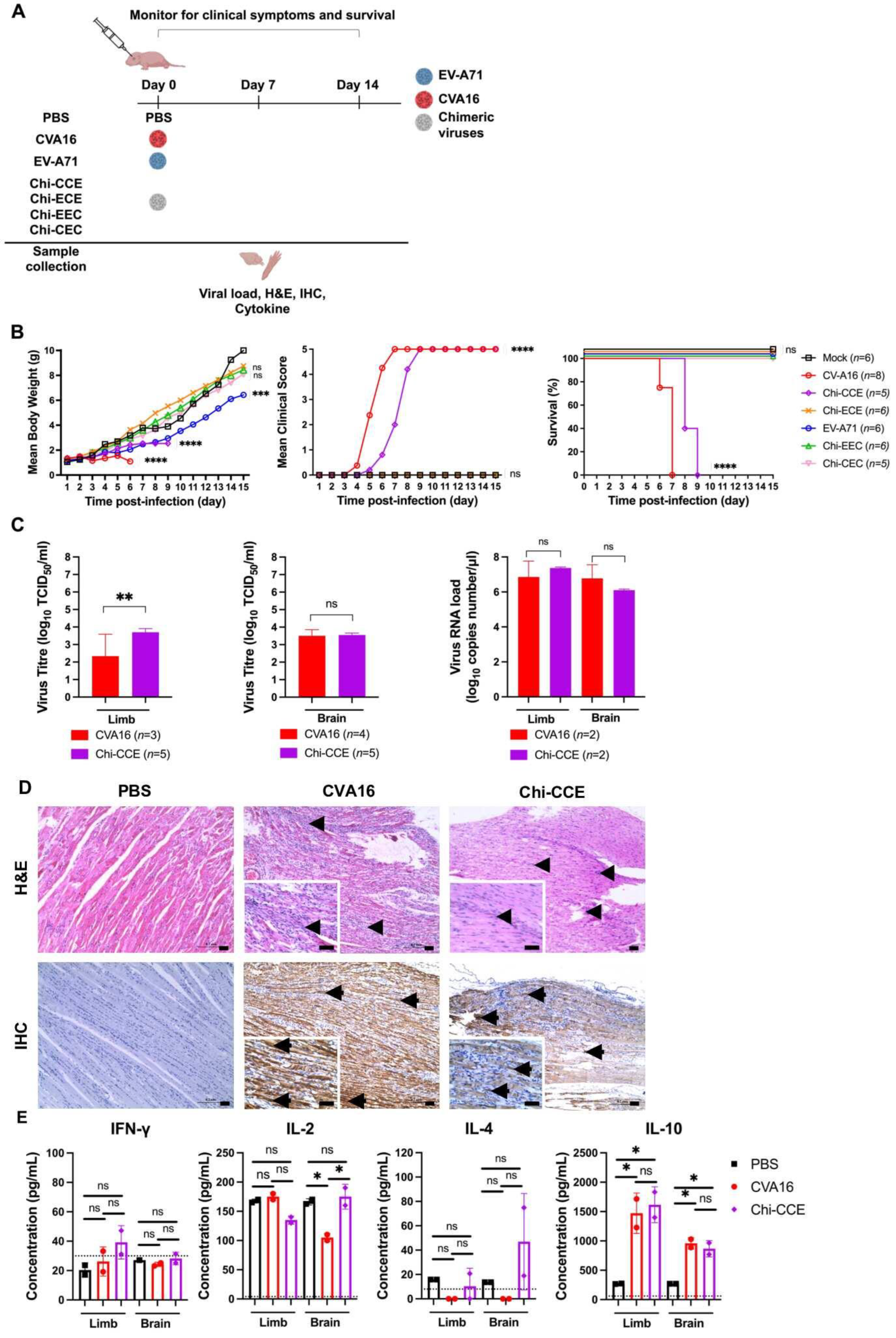 Vaccines 14 00137 g002 Vaccines 14 00137 g002