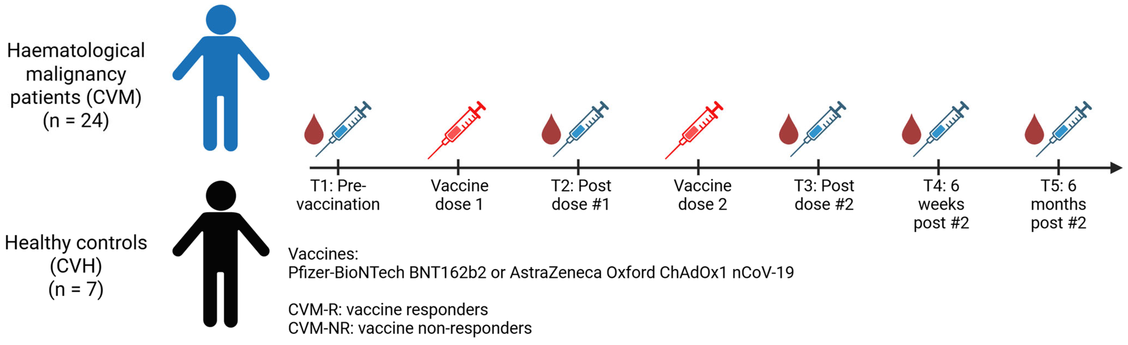 Vaccines 14 00201 g001