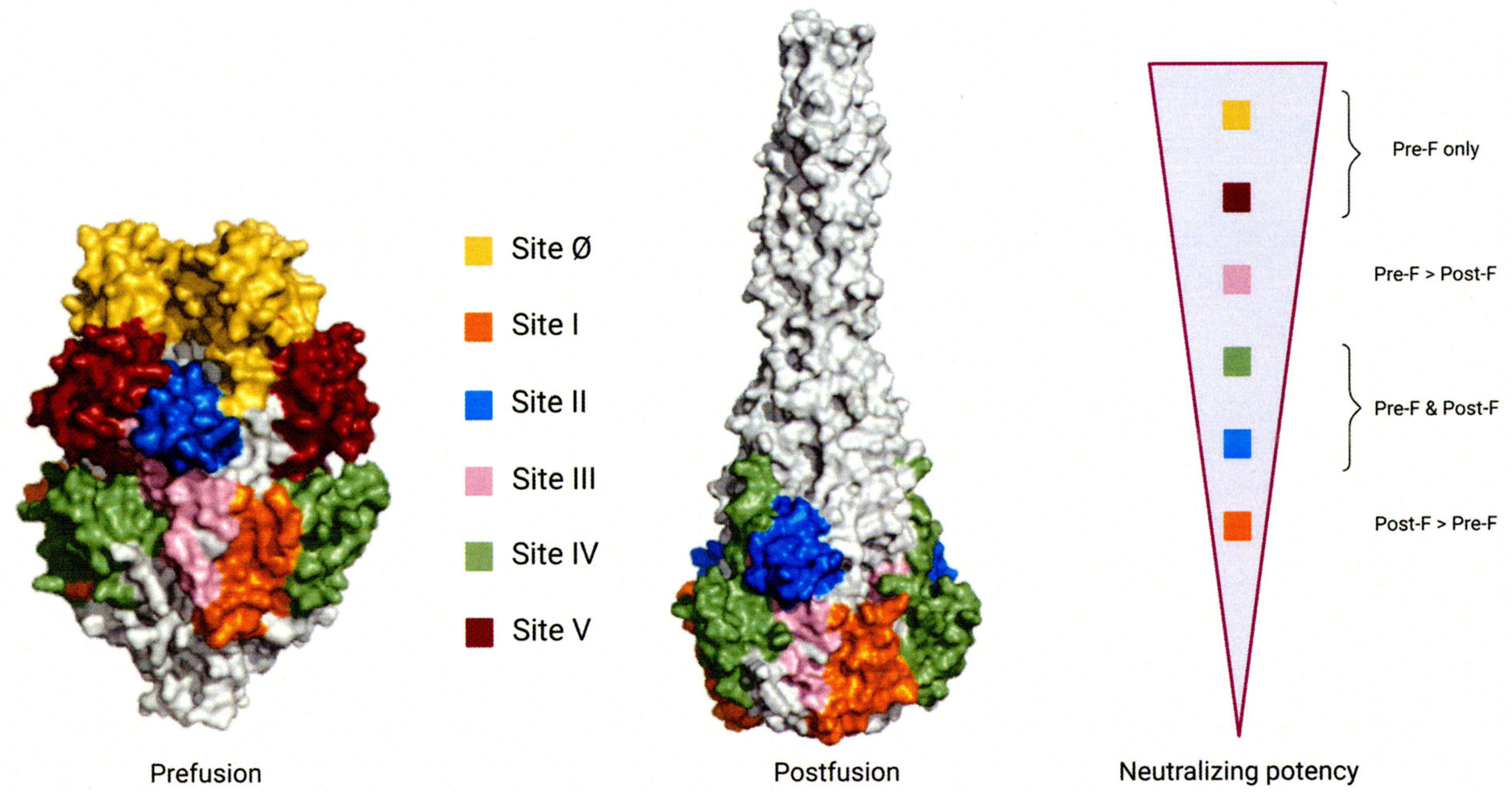Vaccines 14 00232 g001