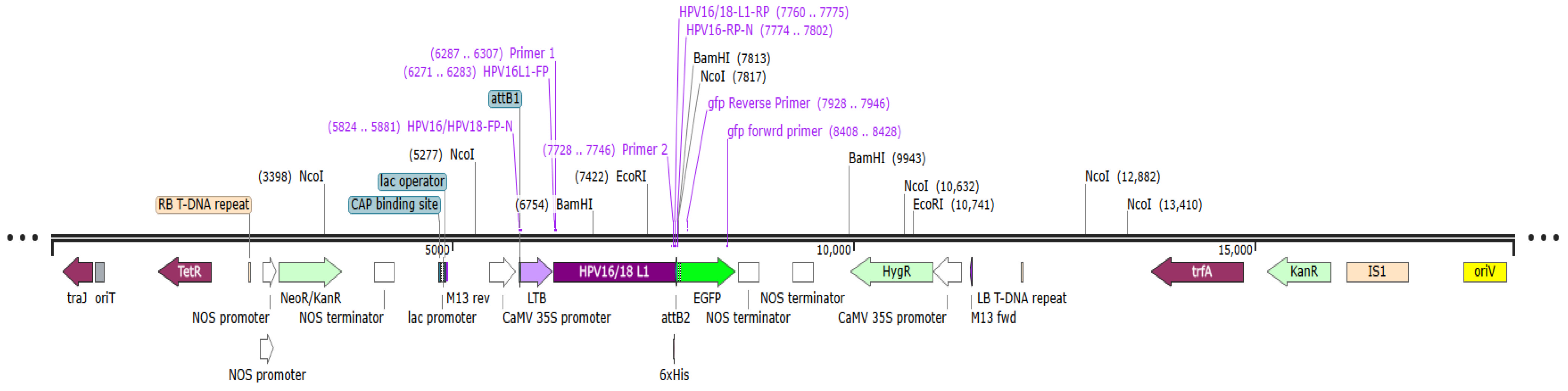 Vaccines 14 00261 g001