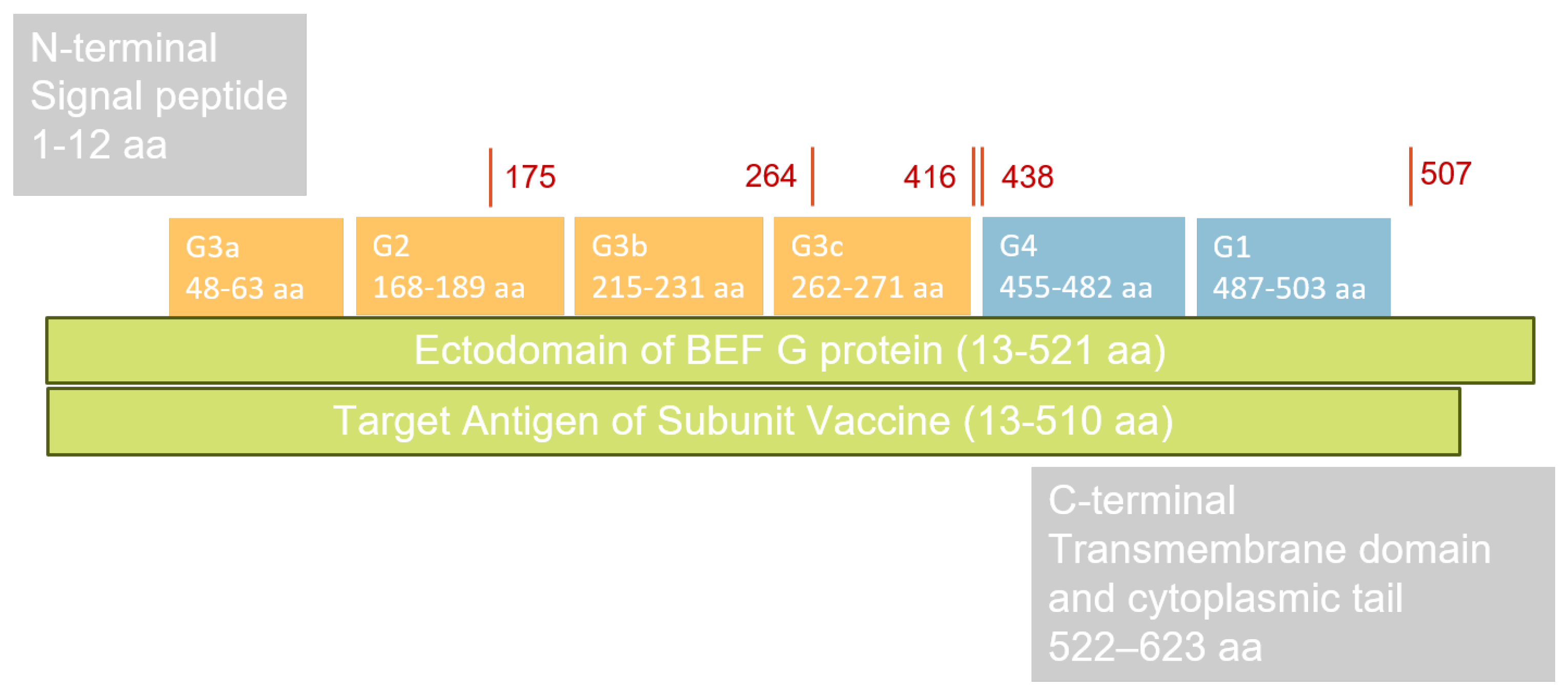 Vaccines 14 00265 g001 Vaccines 14 00265 g001