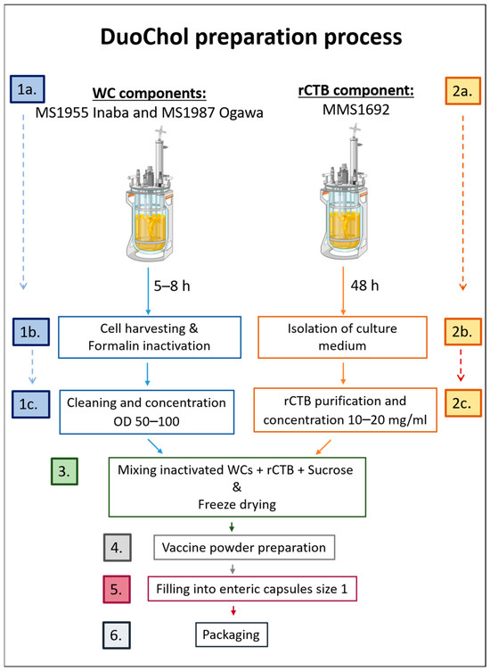 Vaccines 14 00573 g001