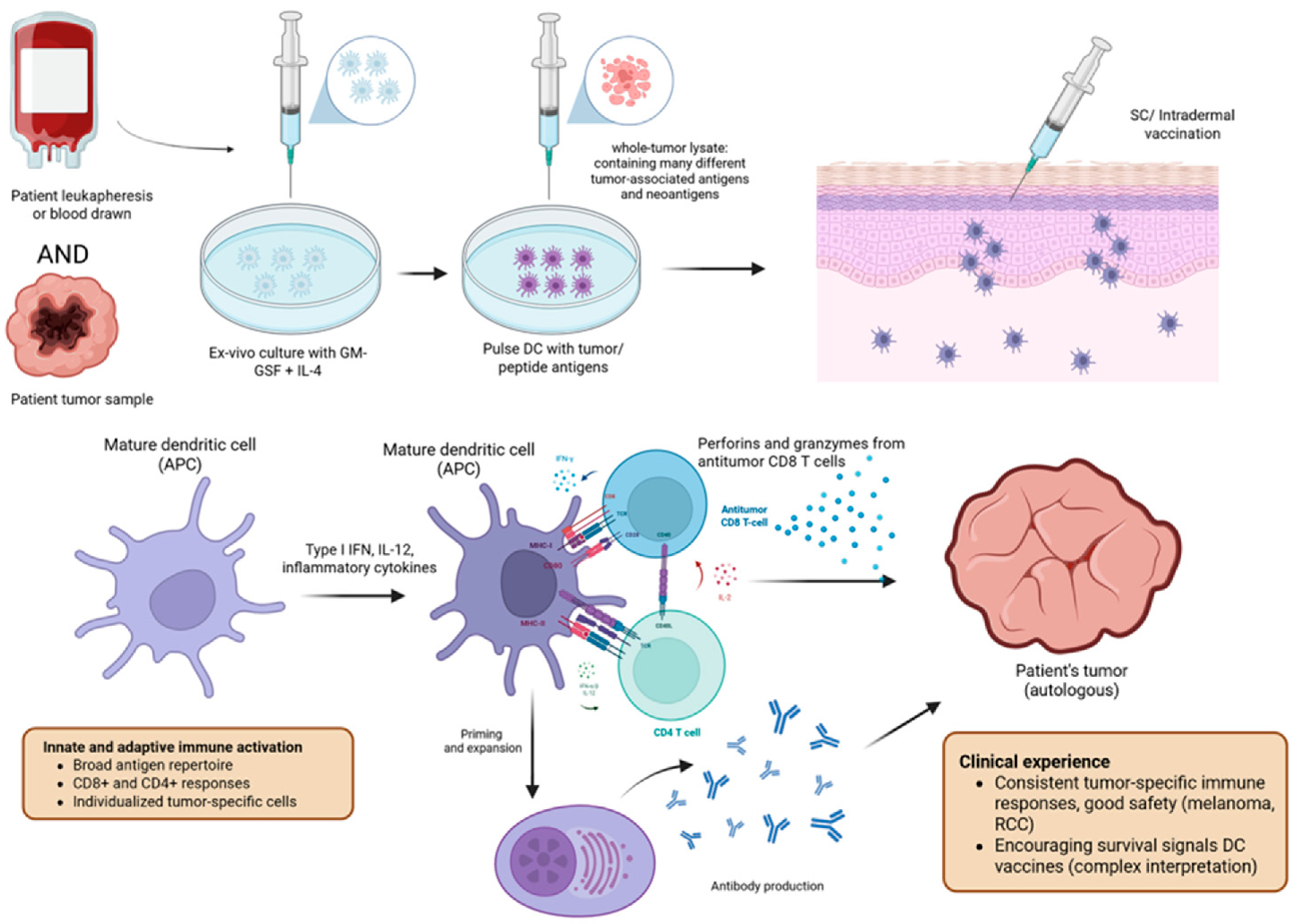 Vaccines 14 00599 g001