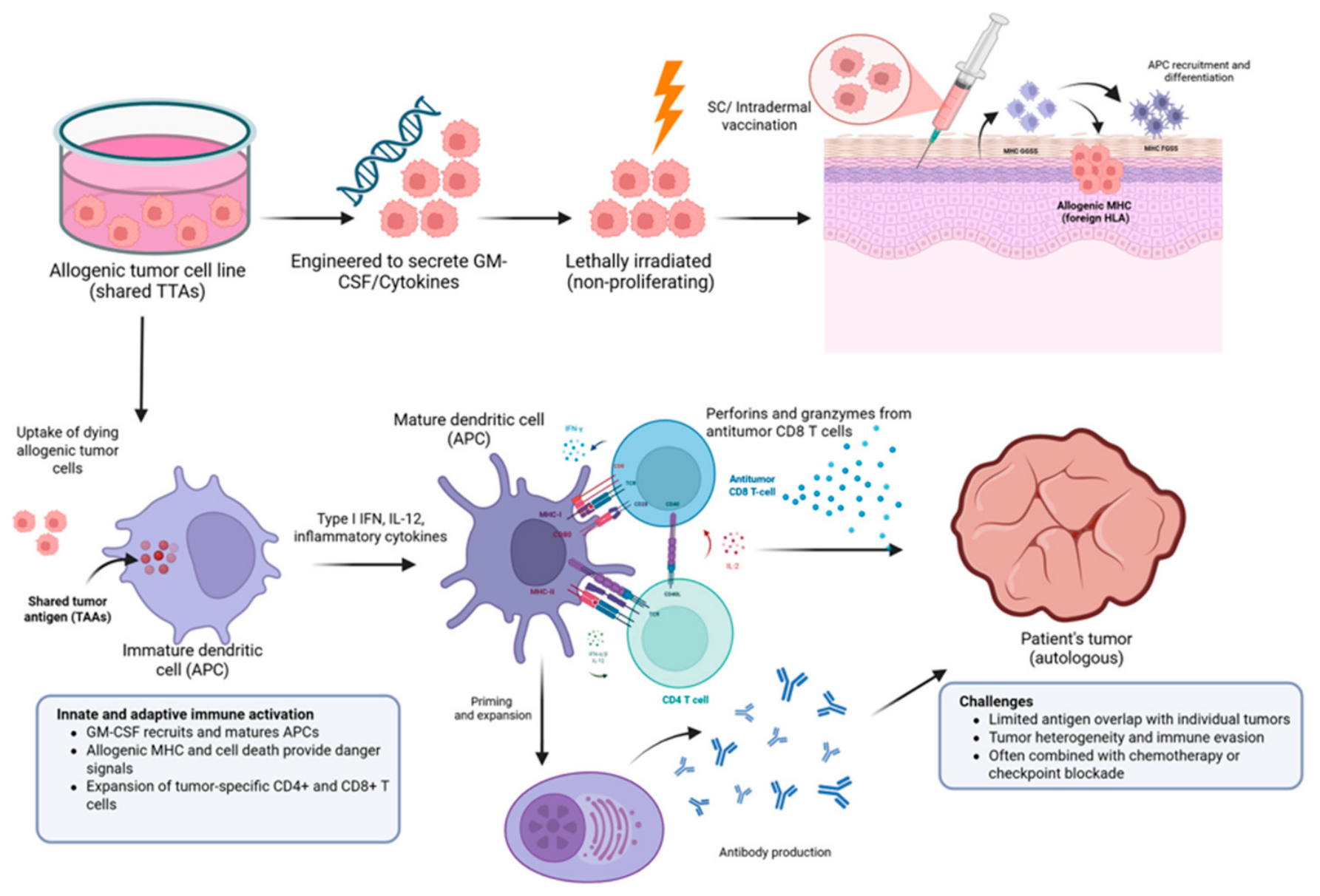 Vaccines 14 00599 g002