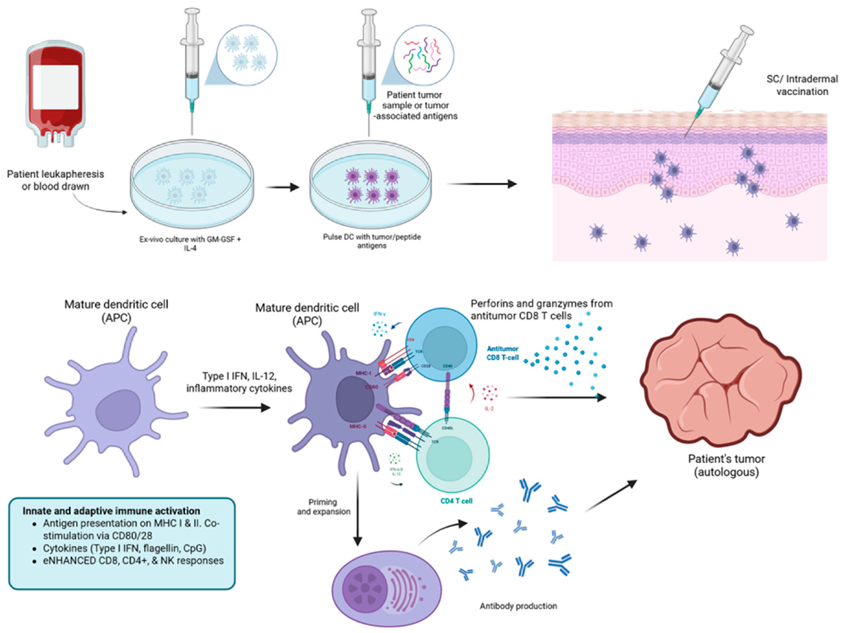 Vaccines 14 00599 g003