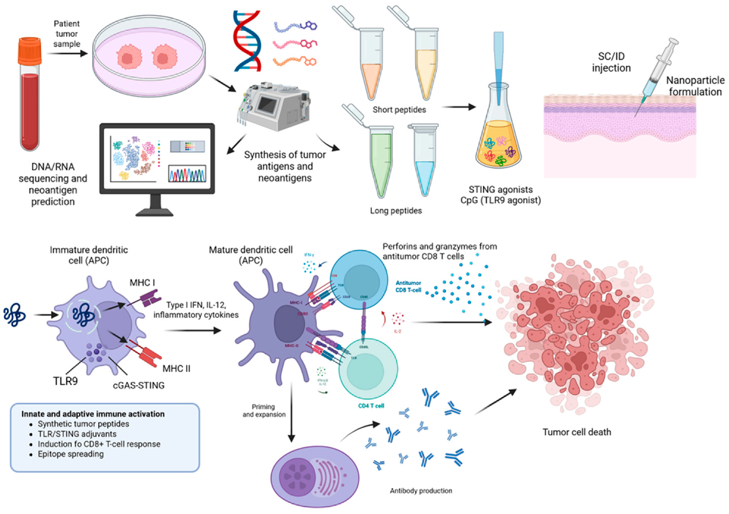 Vaccines 14 00599 g004
