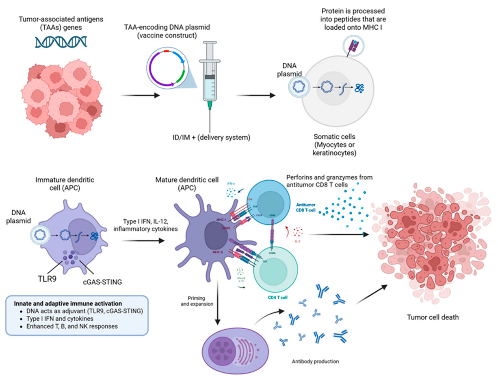 Vaccines 14 00599 g005
