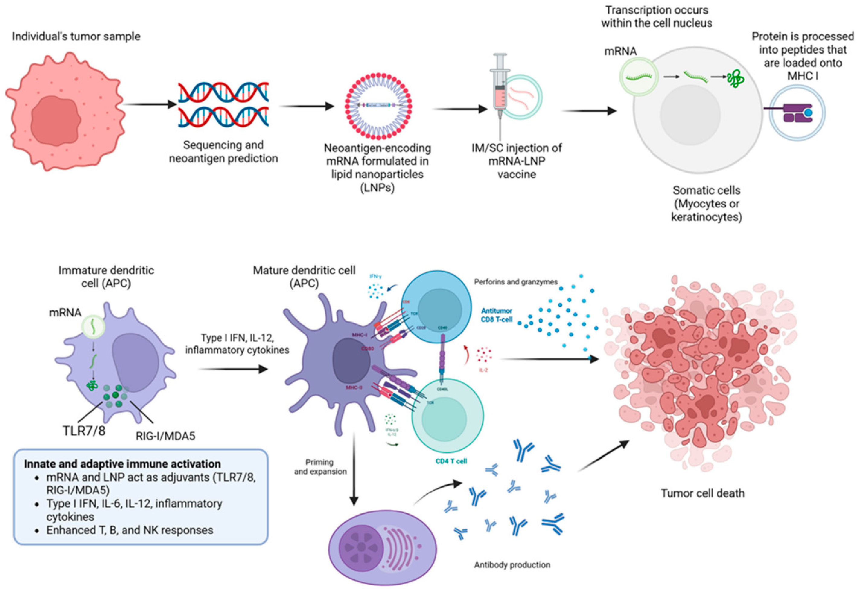Vaccines 14 00599 g006