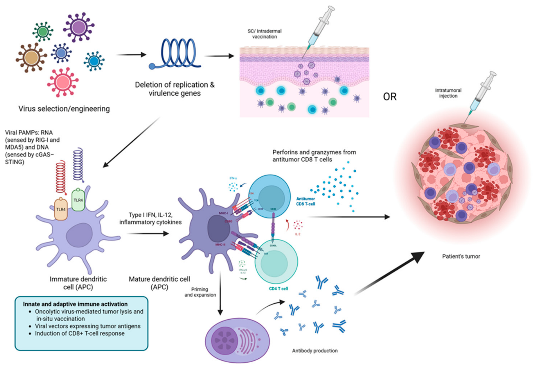 Vaccines 14 00599 g007