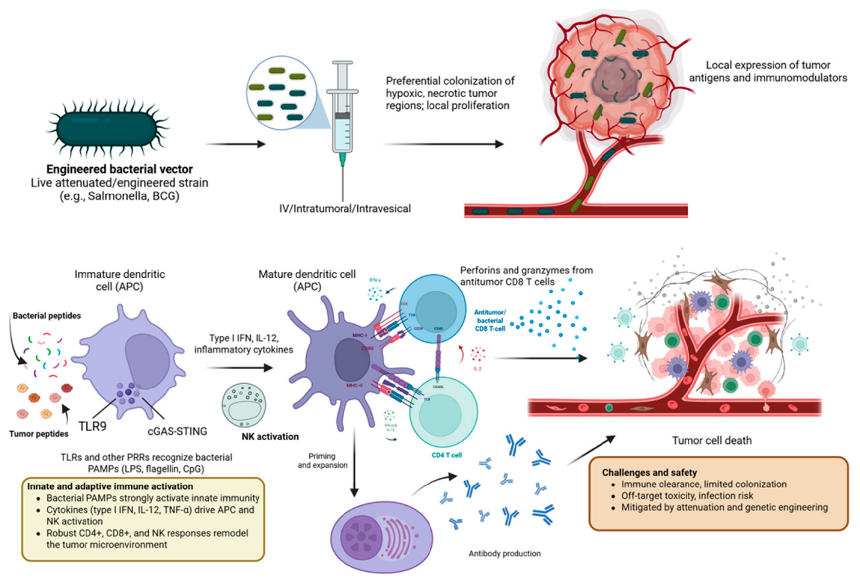 Vaccines 14 00599 g008