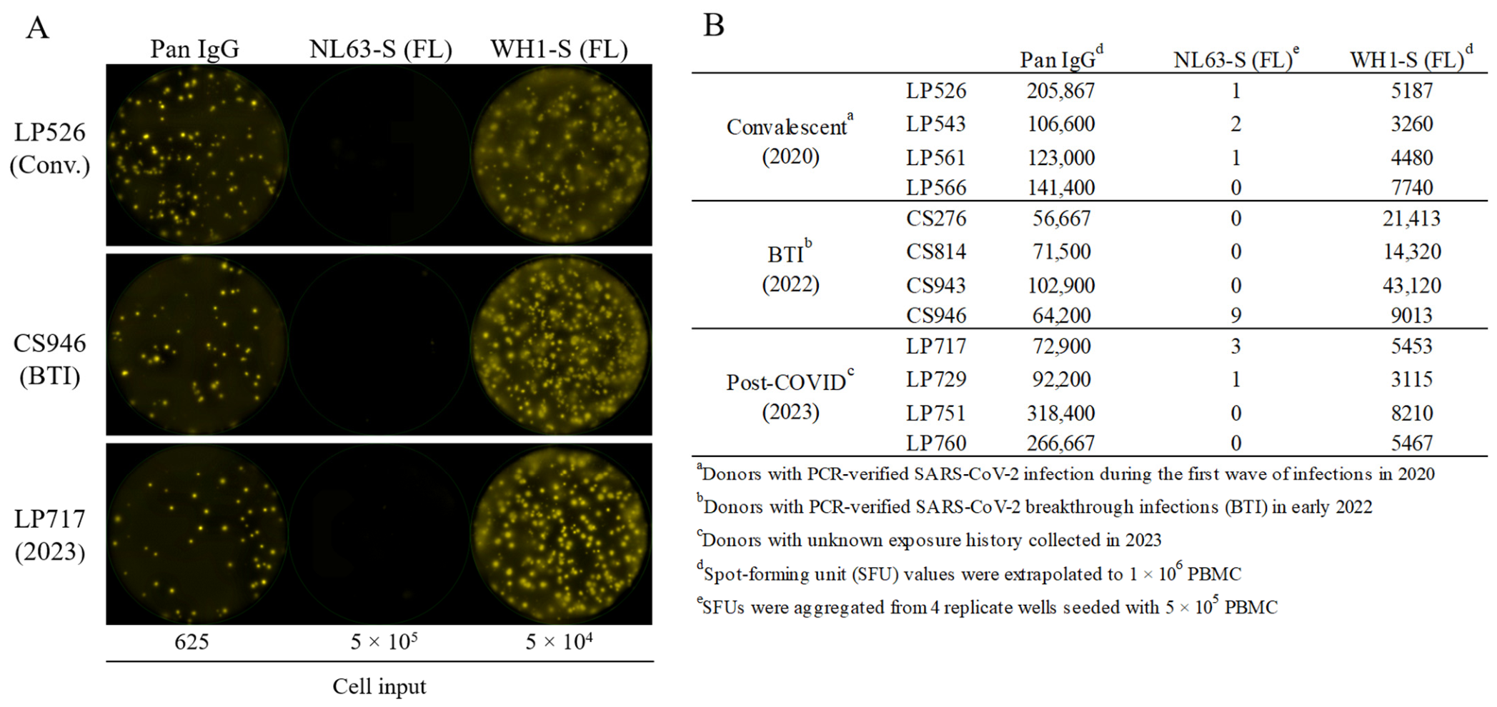 Vaccines 14 00604 g002