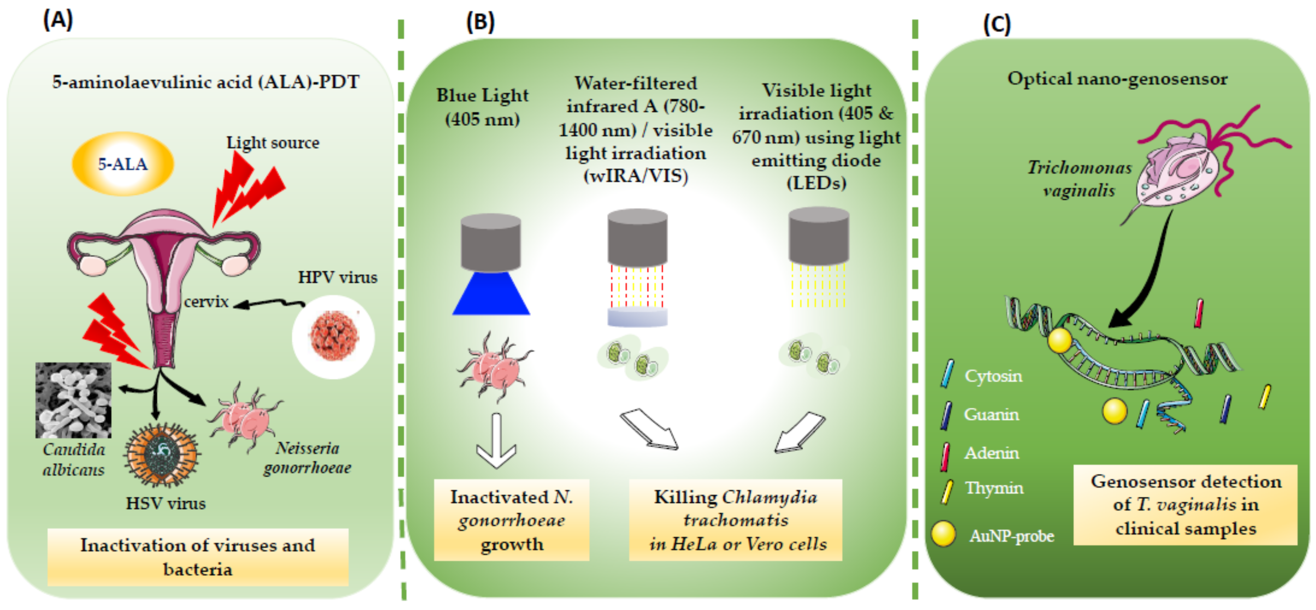 Venereology 01 00012 g001