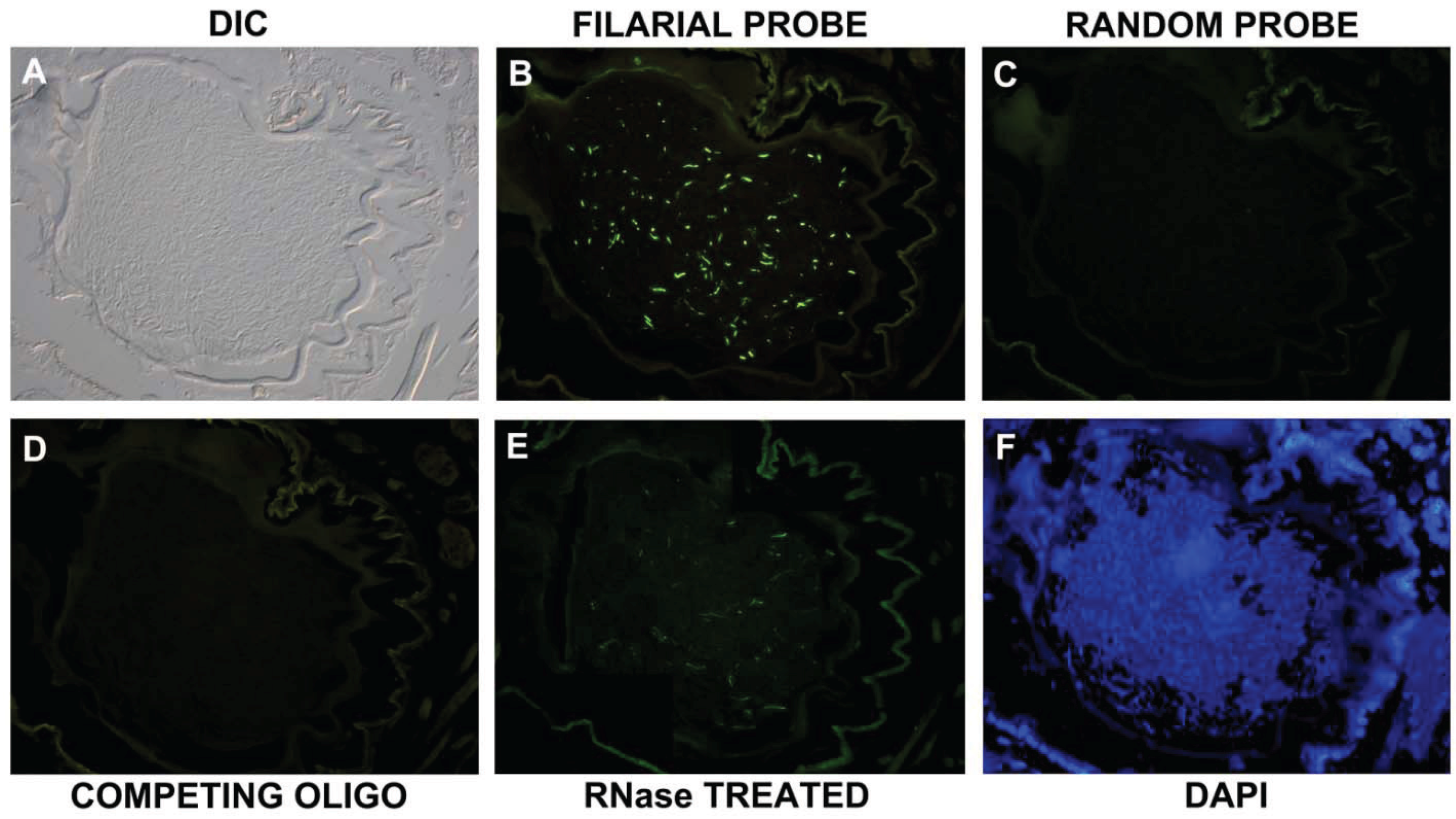 Vetsci 01 00005 g001