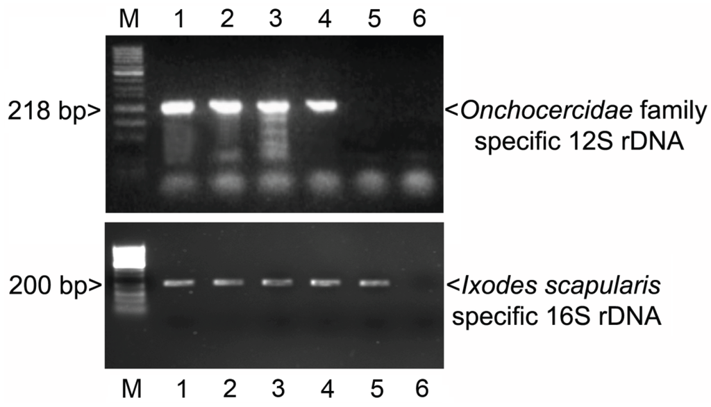 Vetsci 01 00005 g002 1024