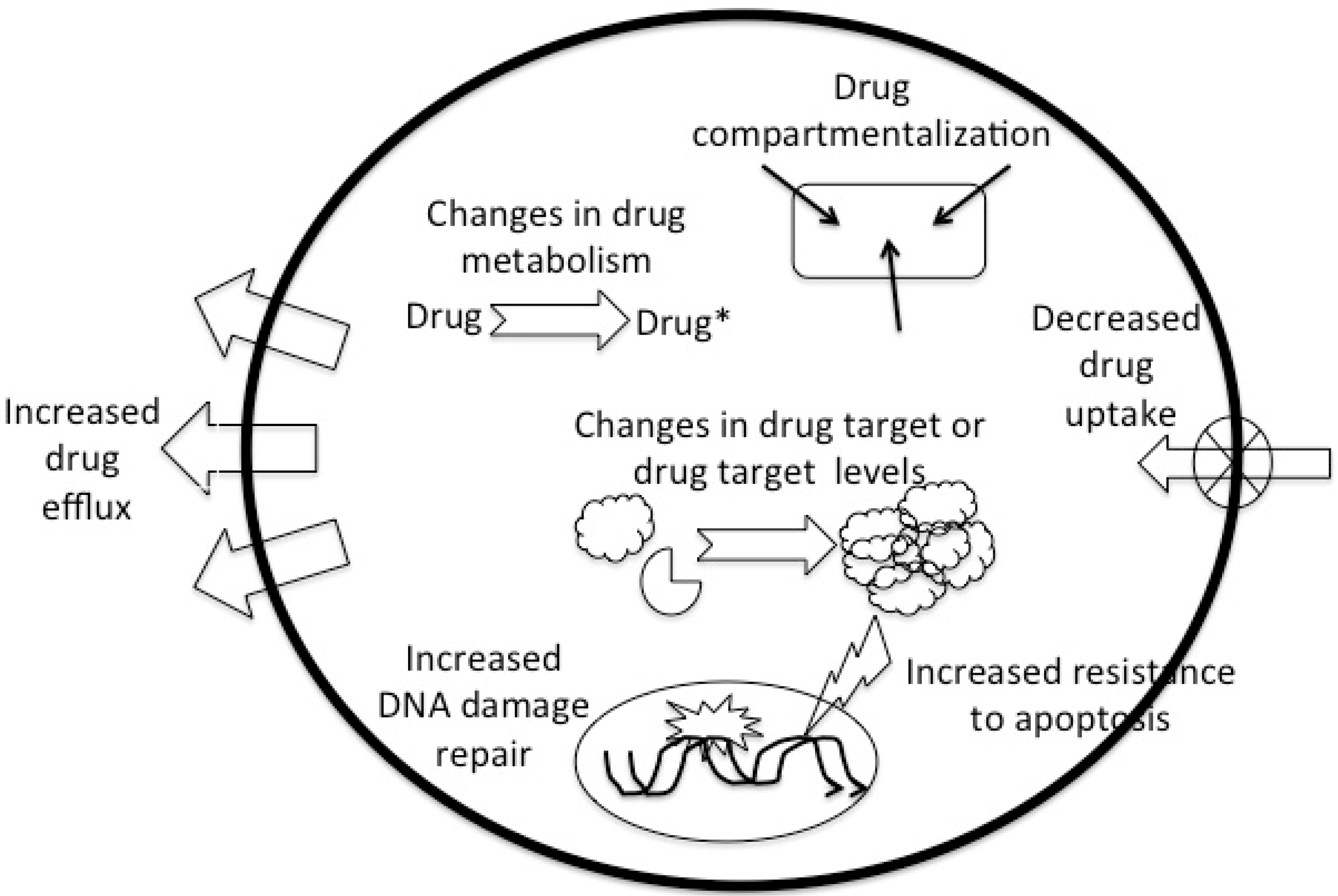 Vetsci 02 00150 g001