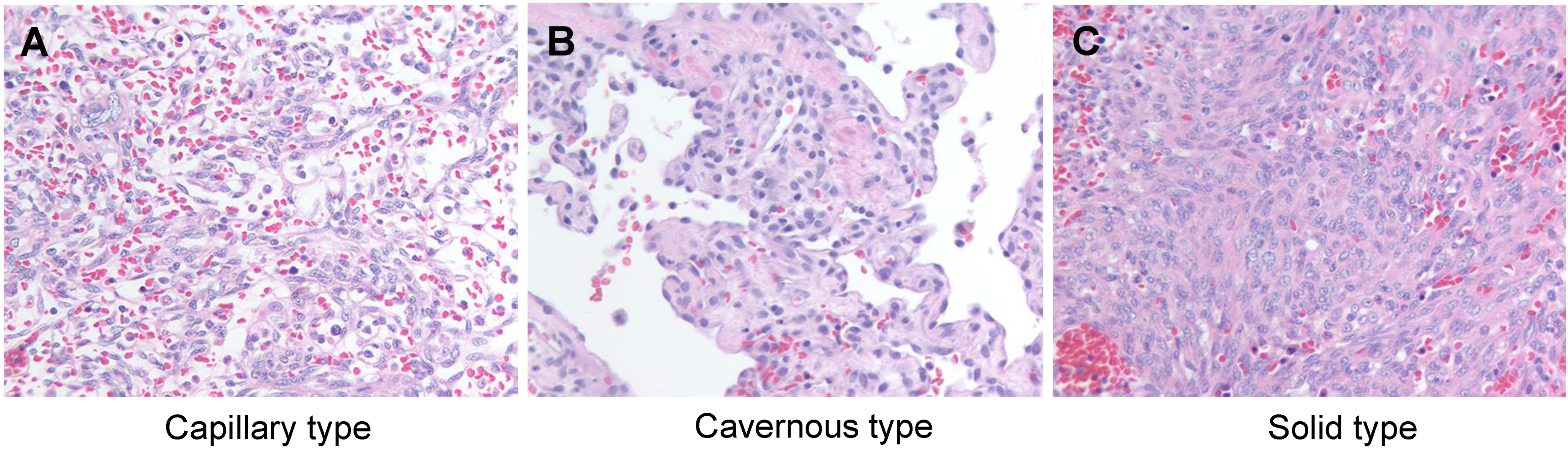 Vetsci 02 00388 g001