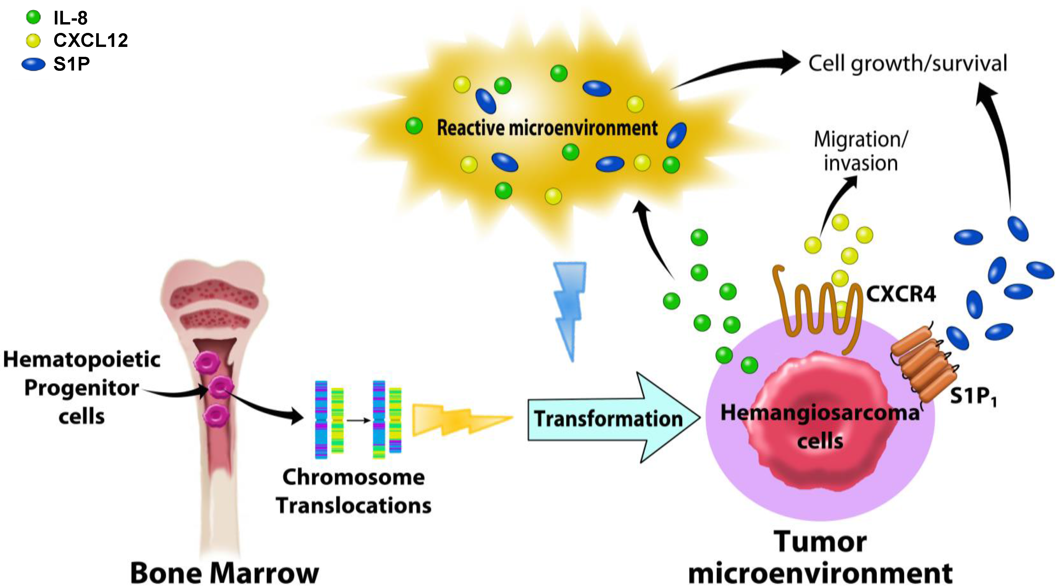 Vetsci 02 00388 g005