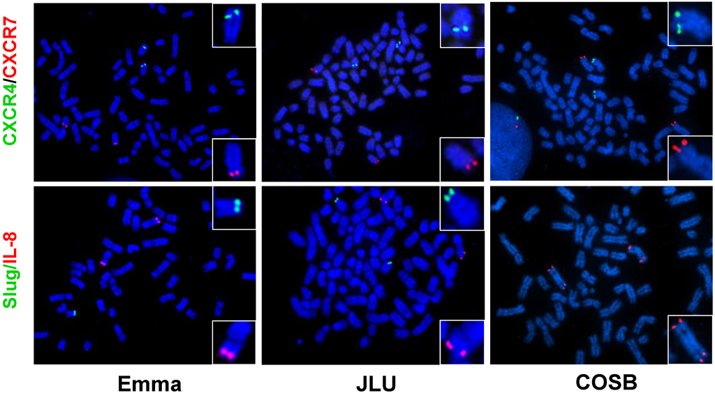 Vetsci 02 00388 g006 1024