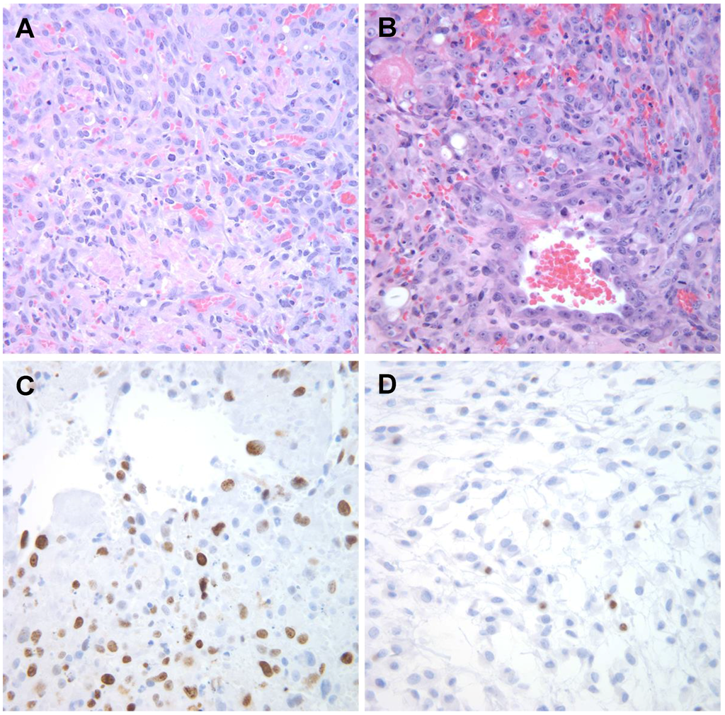 Vetsci 02 00388 g007 1024