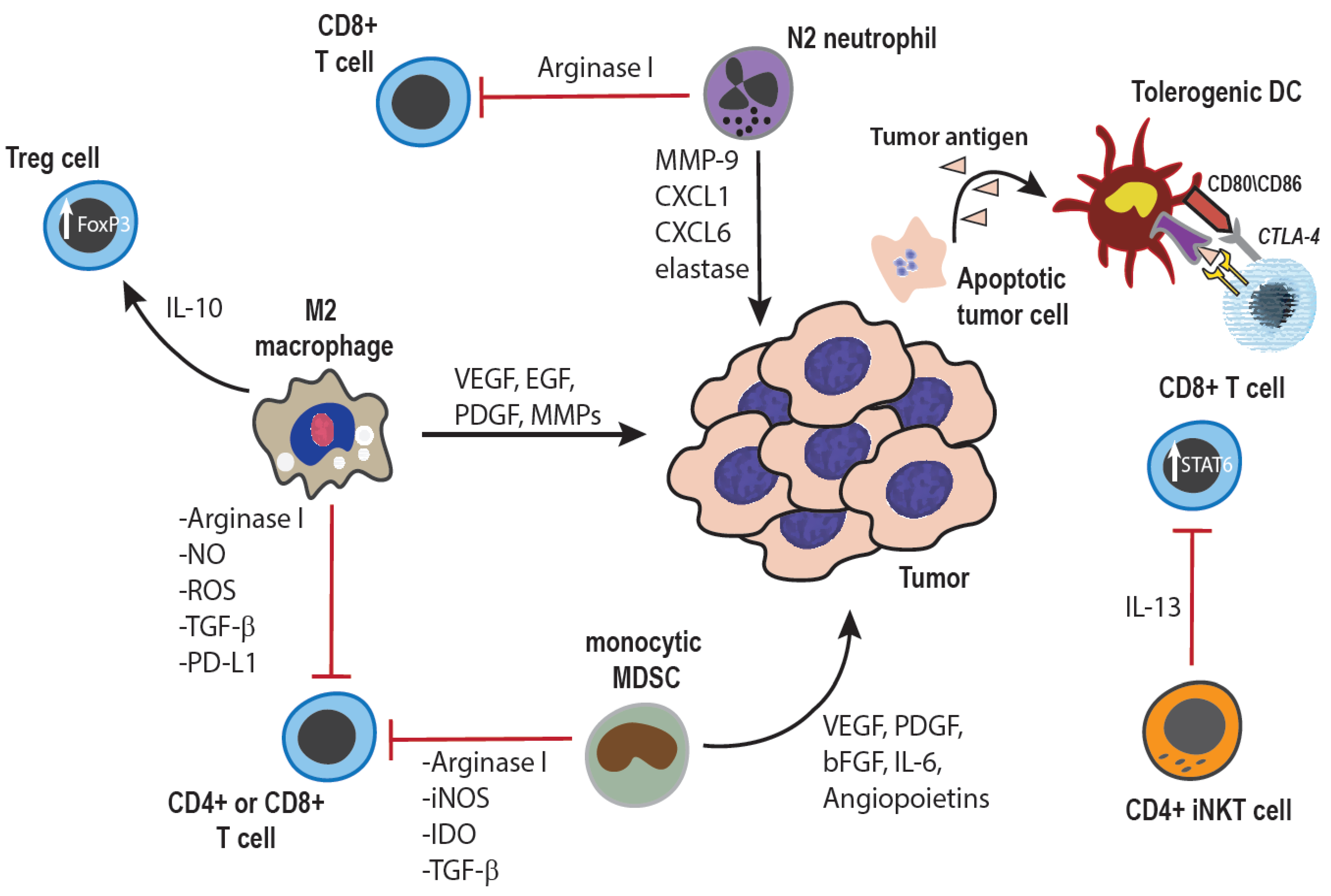 Vetsci 02 00423 g001