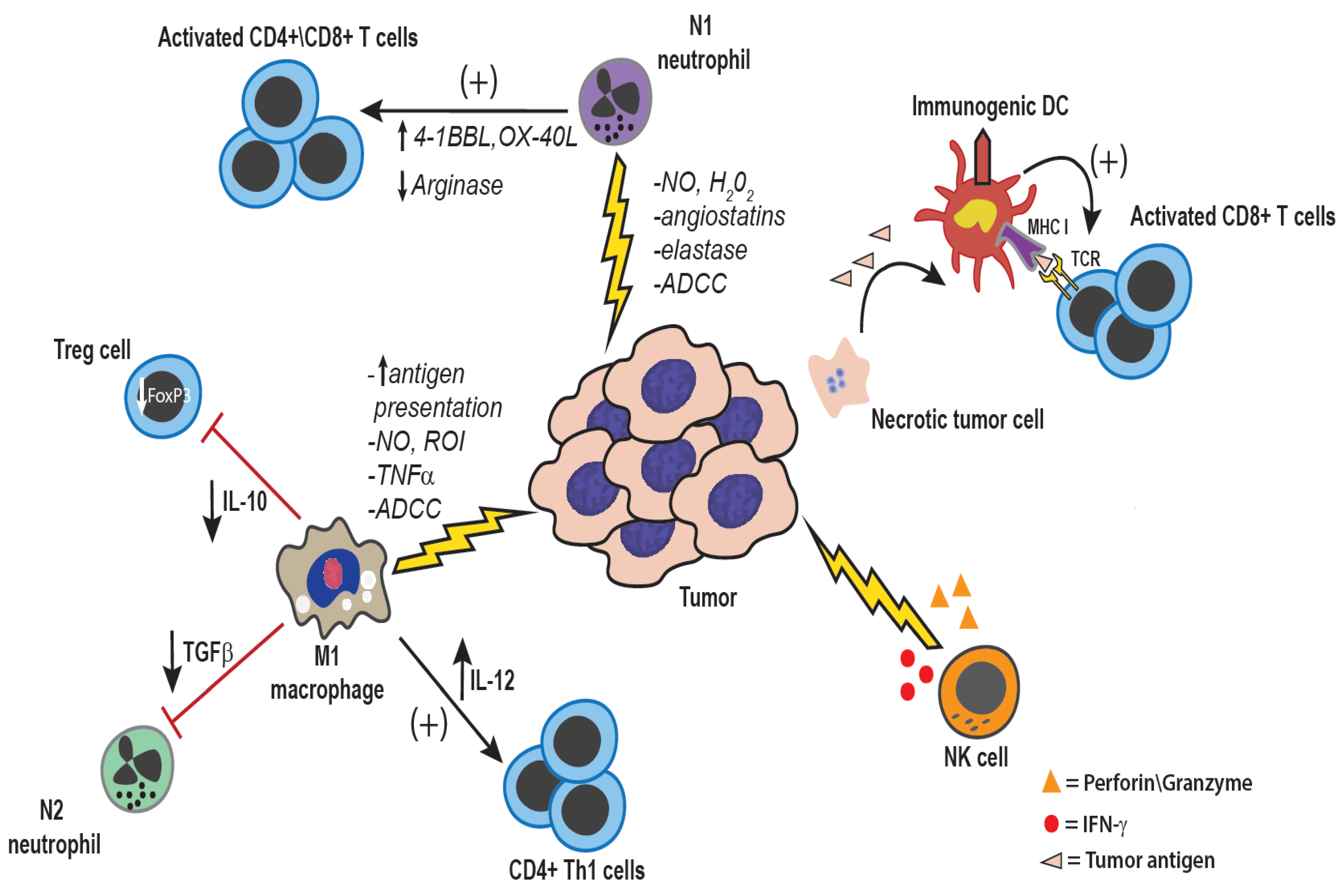 Vetsci 02 00423 g002