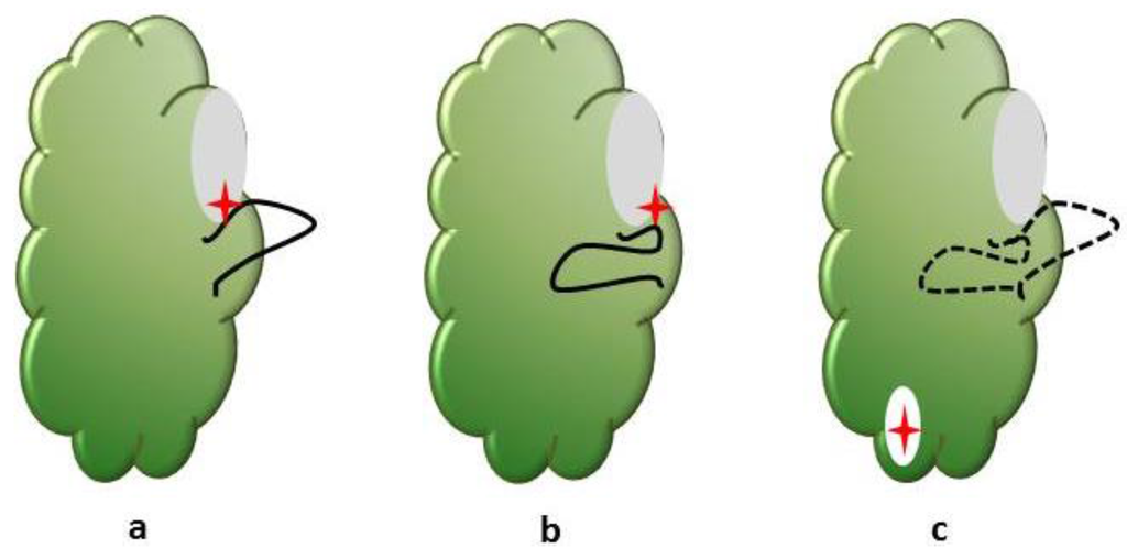 Vetsci 03 00004 g001 1024