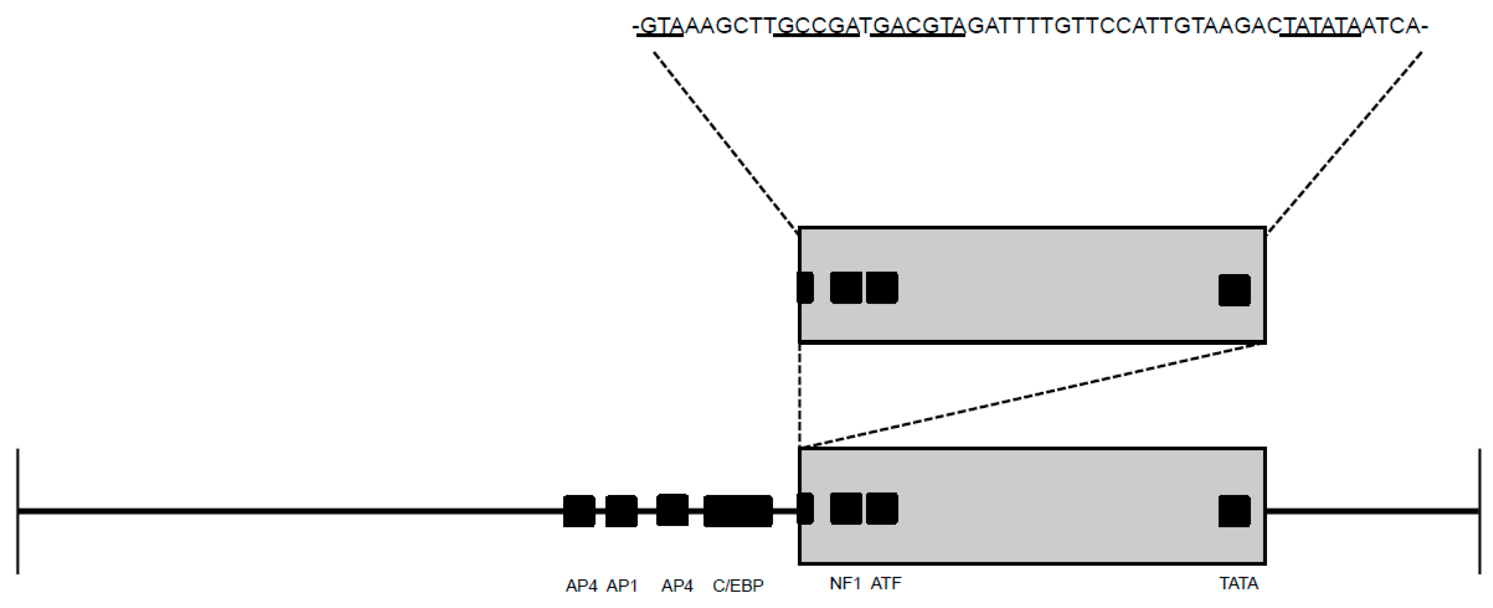 Vetsci 03 00010 g005