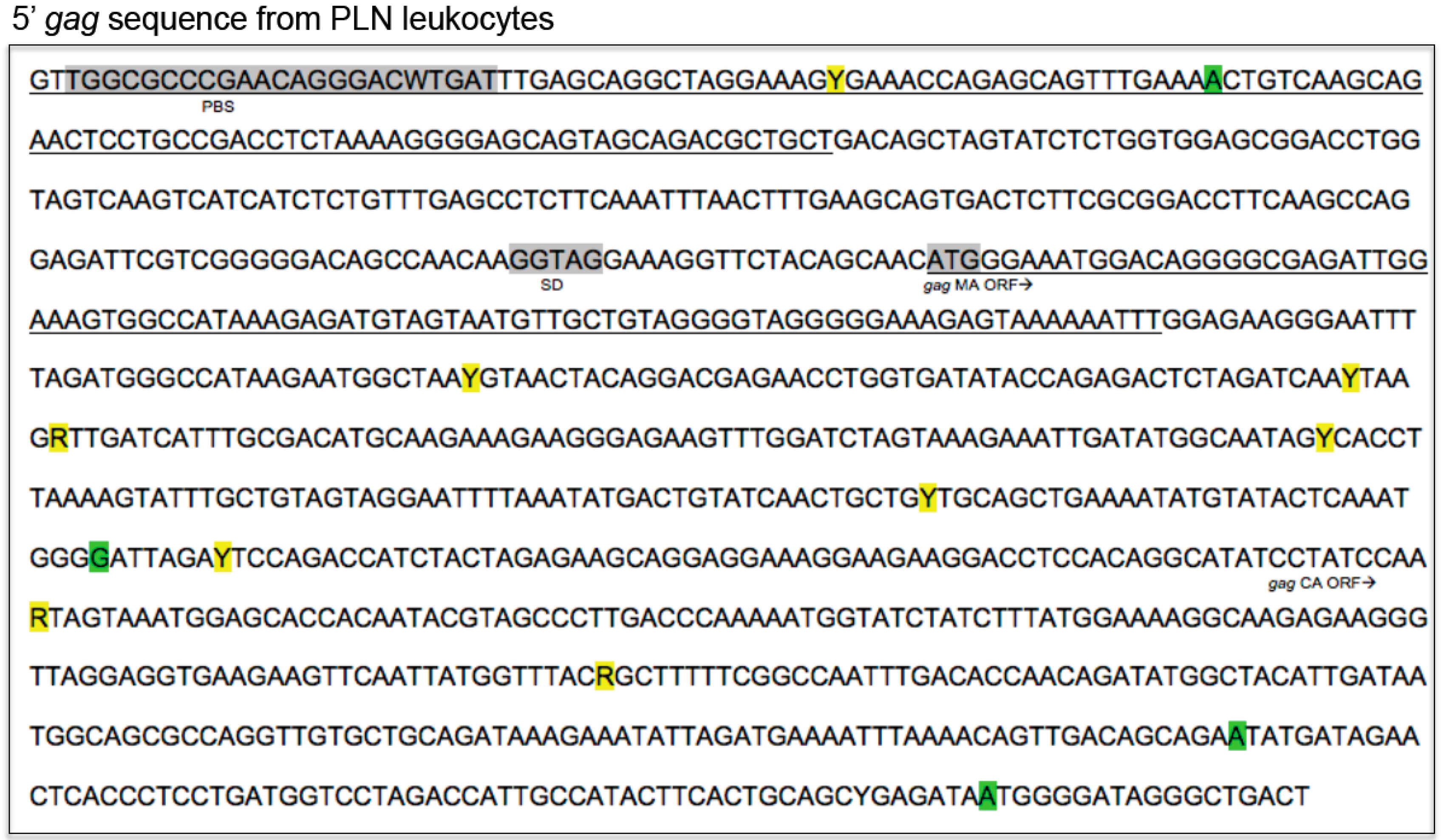 Vetsci 03 00010 g006