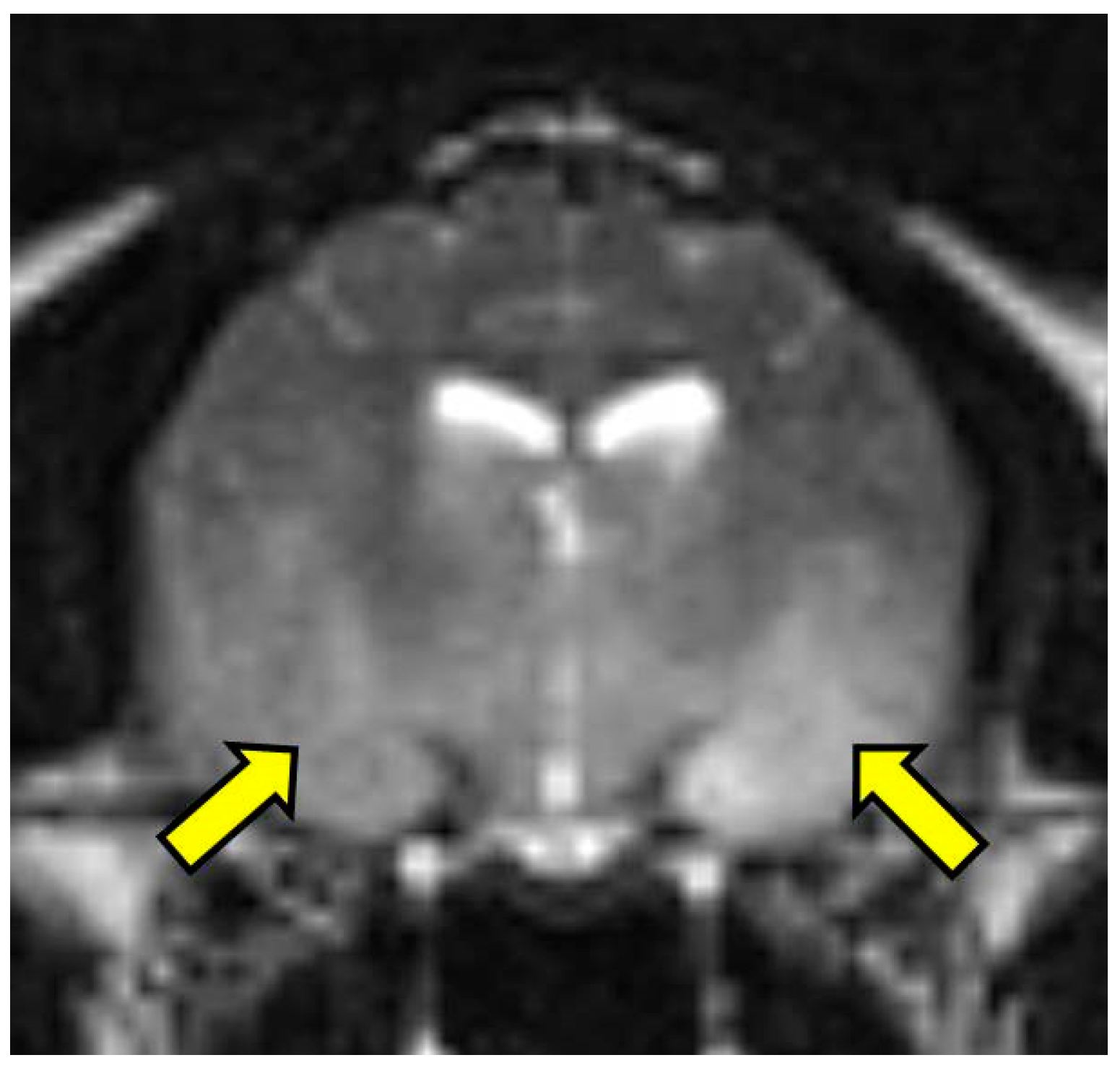 Vetsci 03 00013 g001