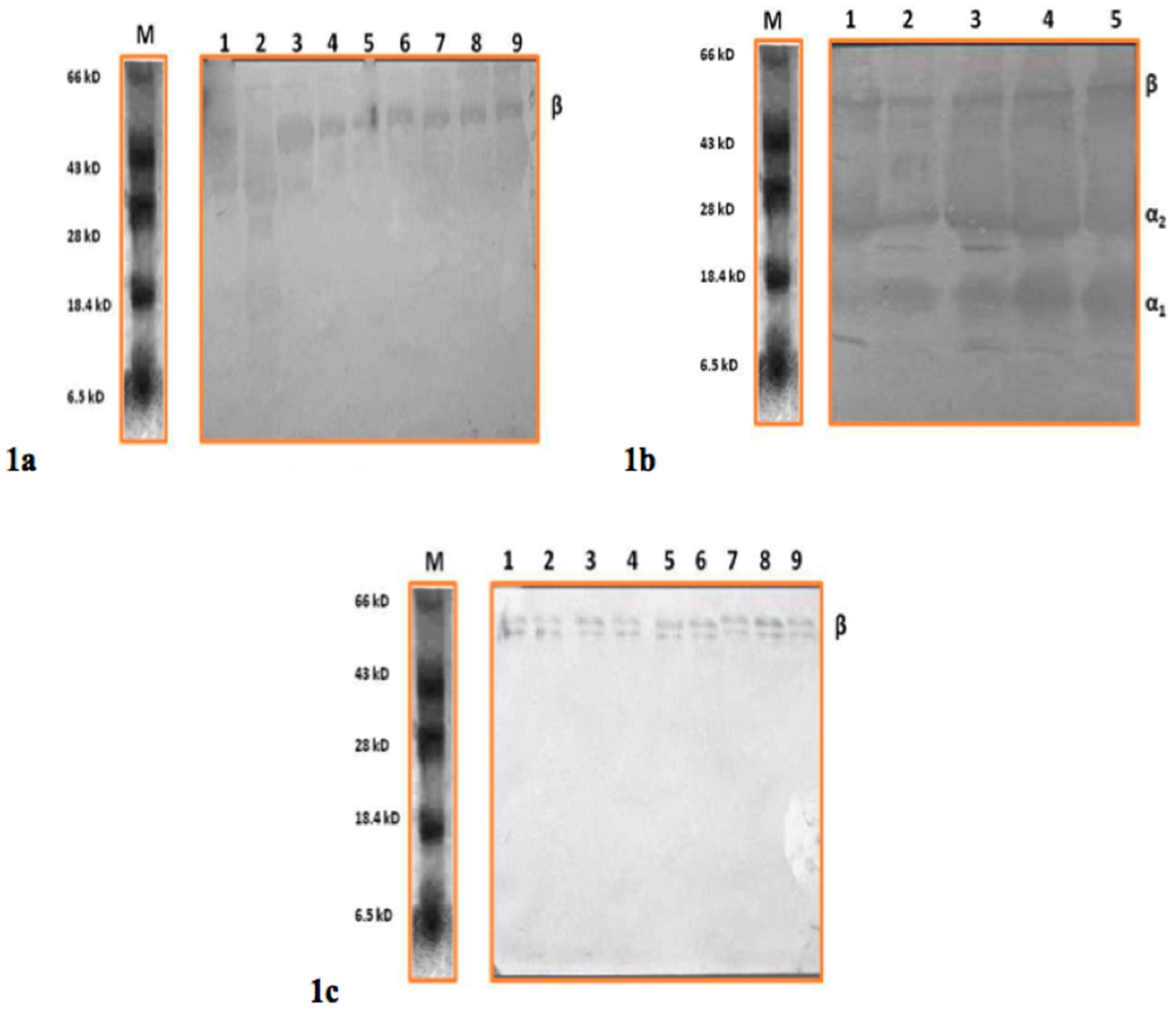 Vetsci 03 00029 g001