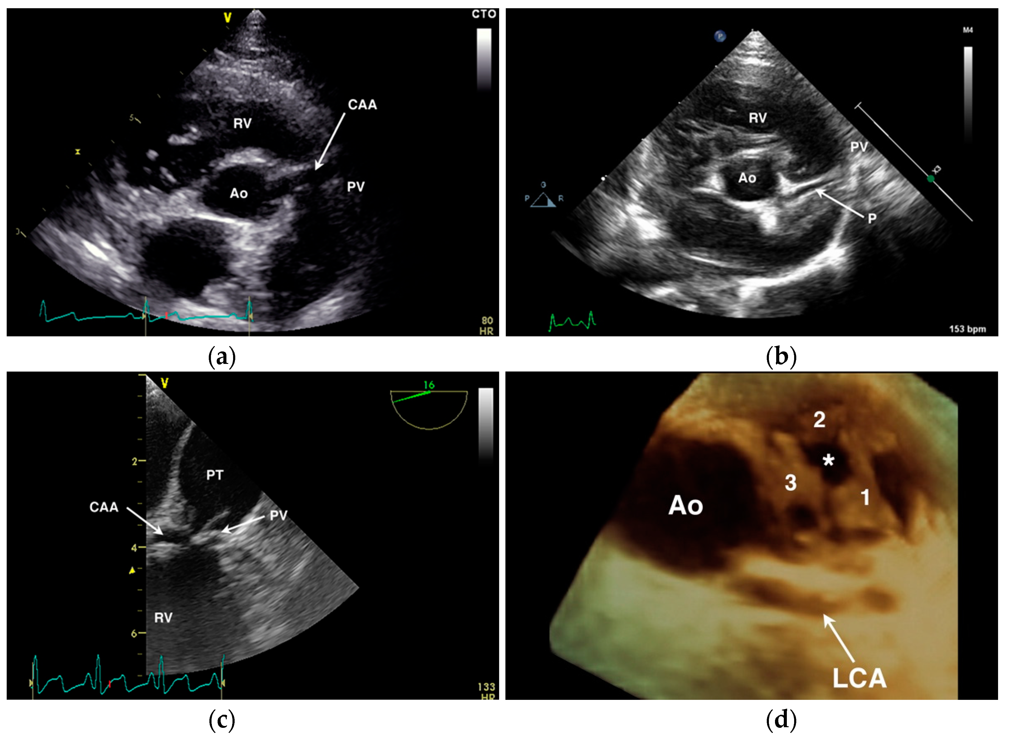 Vetsci 04 00020 g006