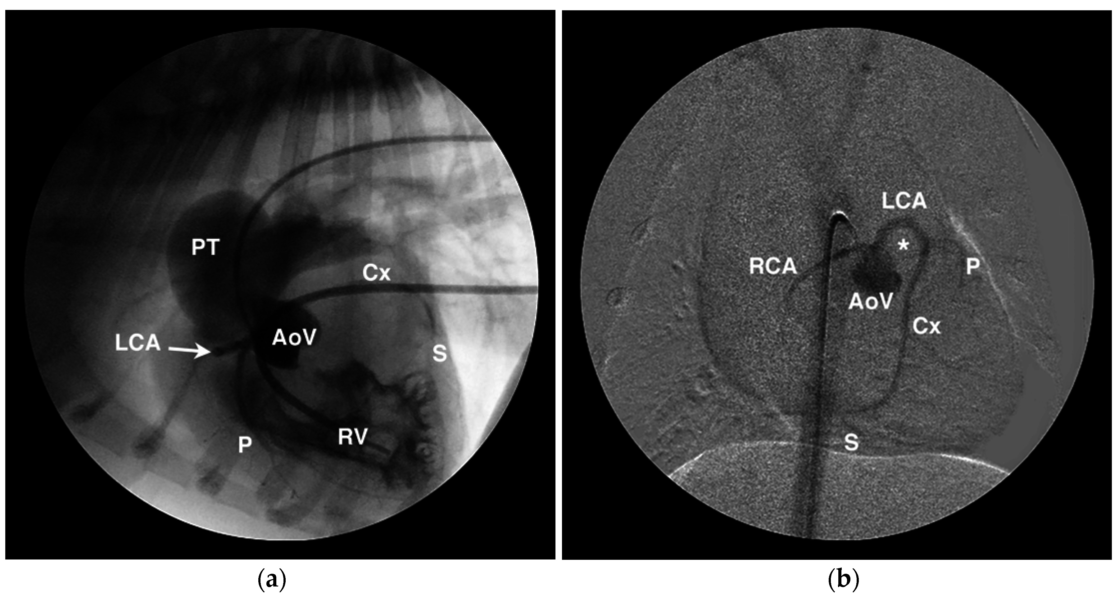 Vetsci 04 00020 g007