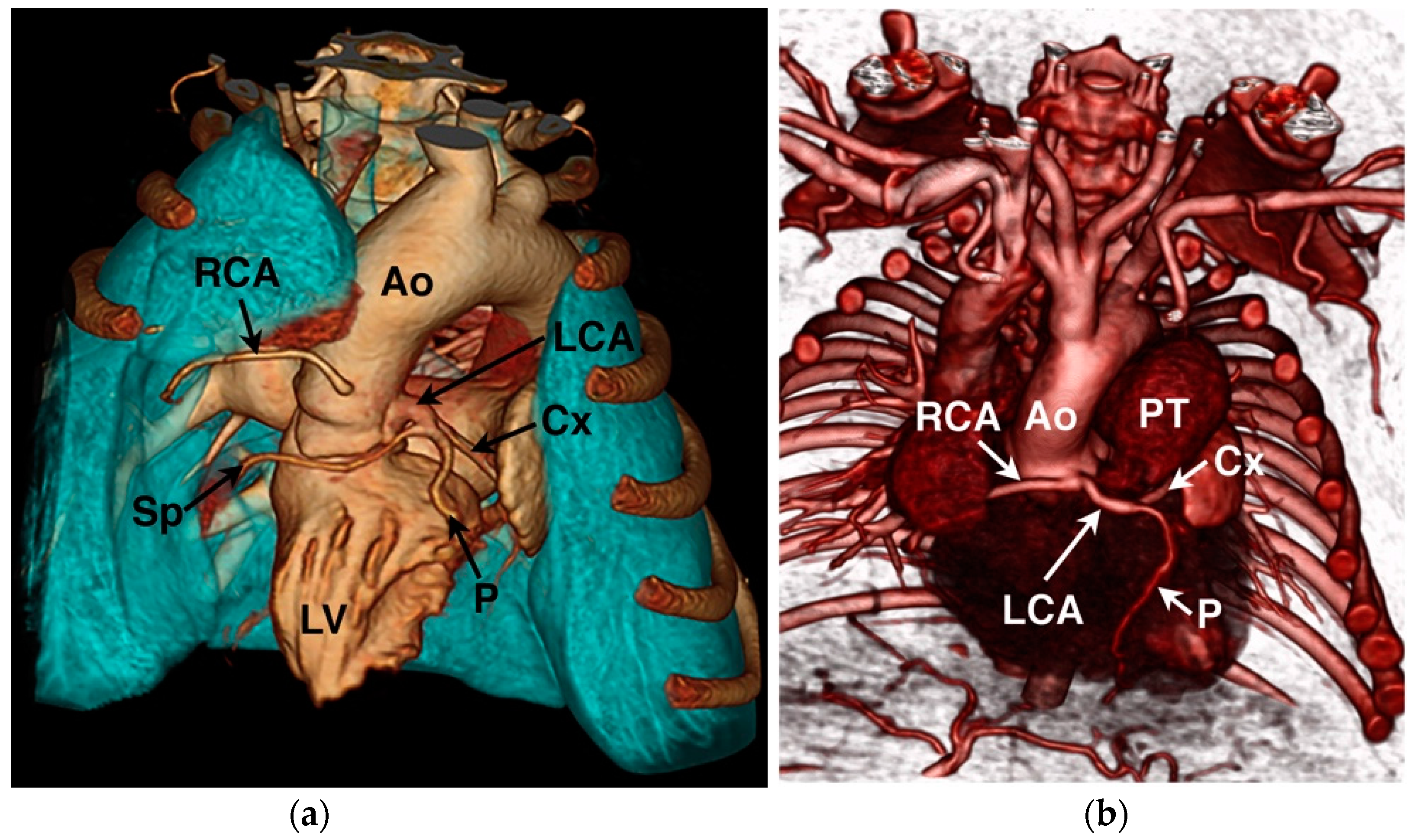 Vetsci 04 00020 g008