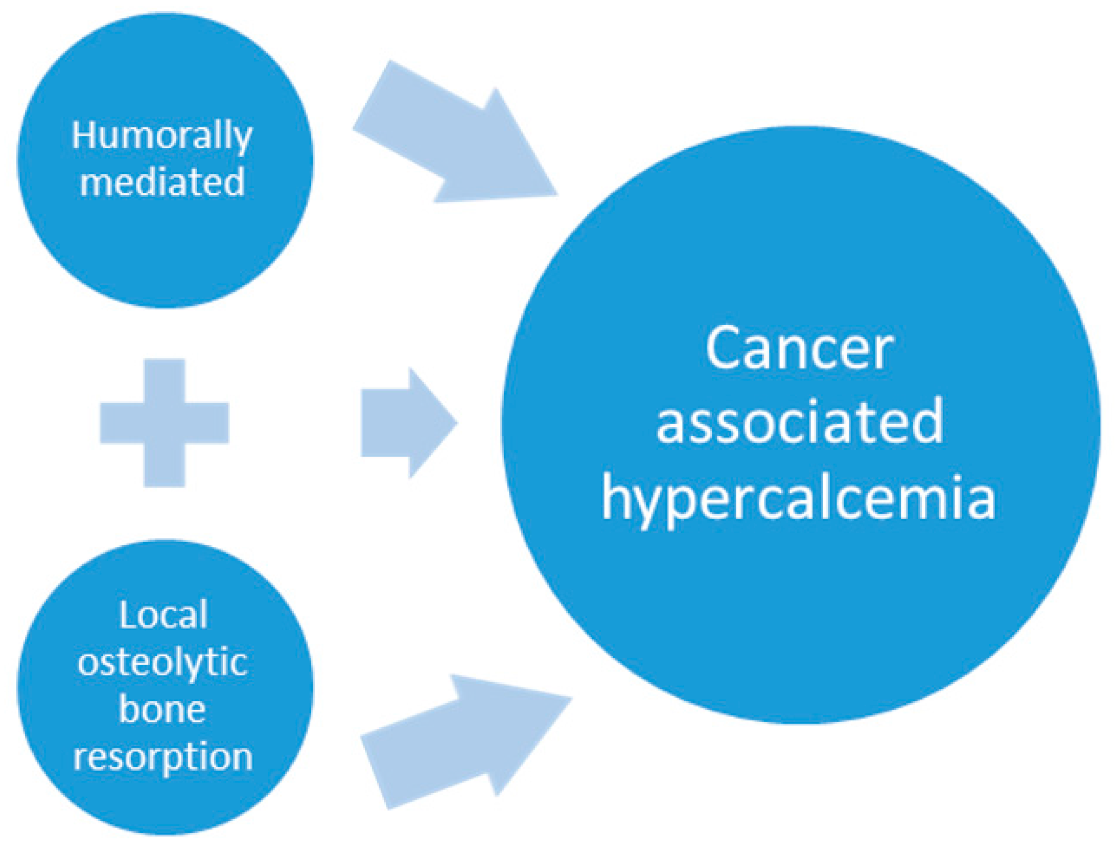 Vetsci 04 00021 g001